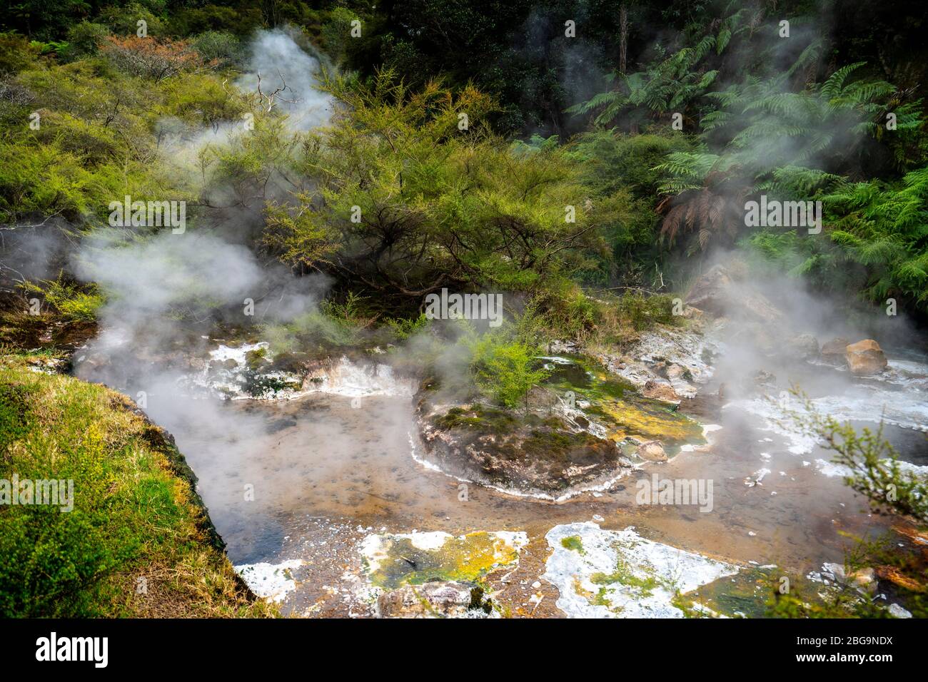 La vallée volcanique de Waimangu, Rotorua, île du Nord, Nouvelle-Zélande Banque D'Images
