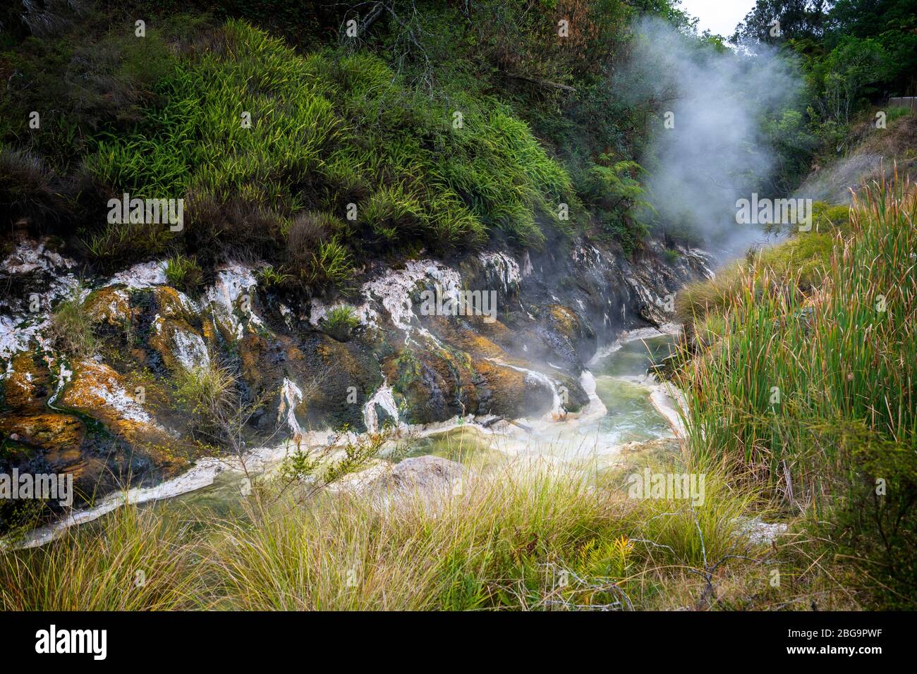 La vallée volcanique de Waimangu, Rotorua, île du Nord, Nouvelle-Zélande Banque D'Images