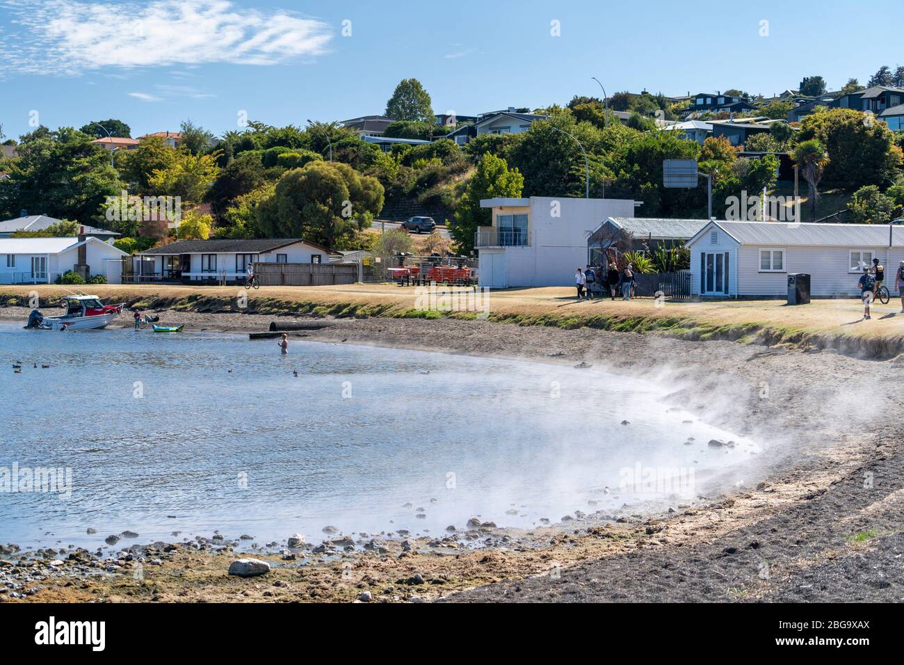 De la vapeur s'élève de la plage d'eau chaude sur les rives du lac Taupo, île du Nord, Nouvelle-Zélande Banque D'Images
