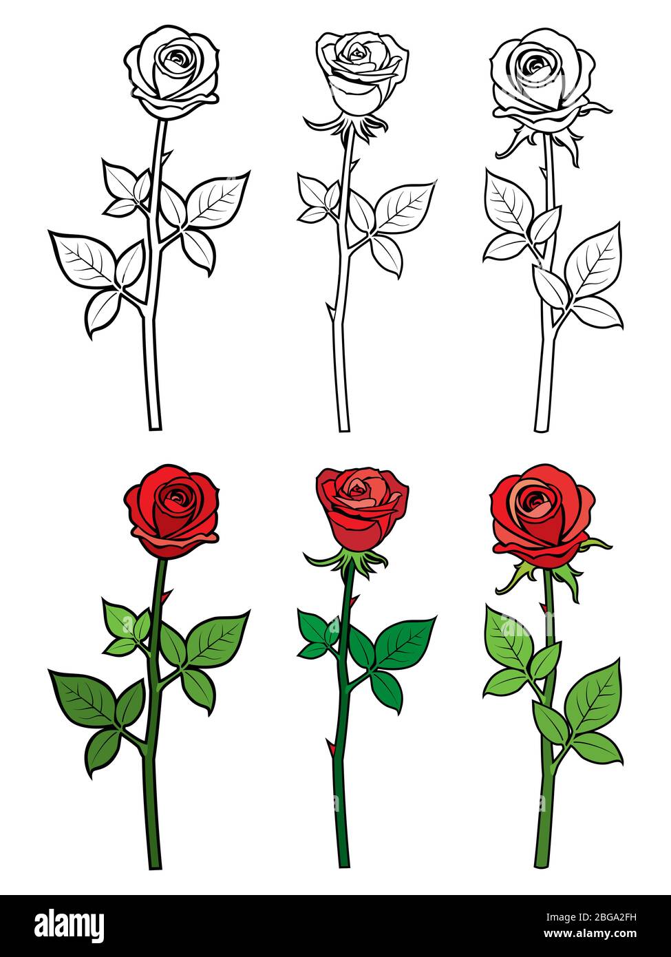 Roses rouges et ouline dessinées à la main - page de coloriage des fleurs. Illustration vectorielle Illustration de Vecteur Roses rouges et ouline dessinées à la main - page de coloriage des fleurs. Illustration vectorielle Illustration de Vecteur