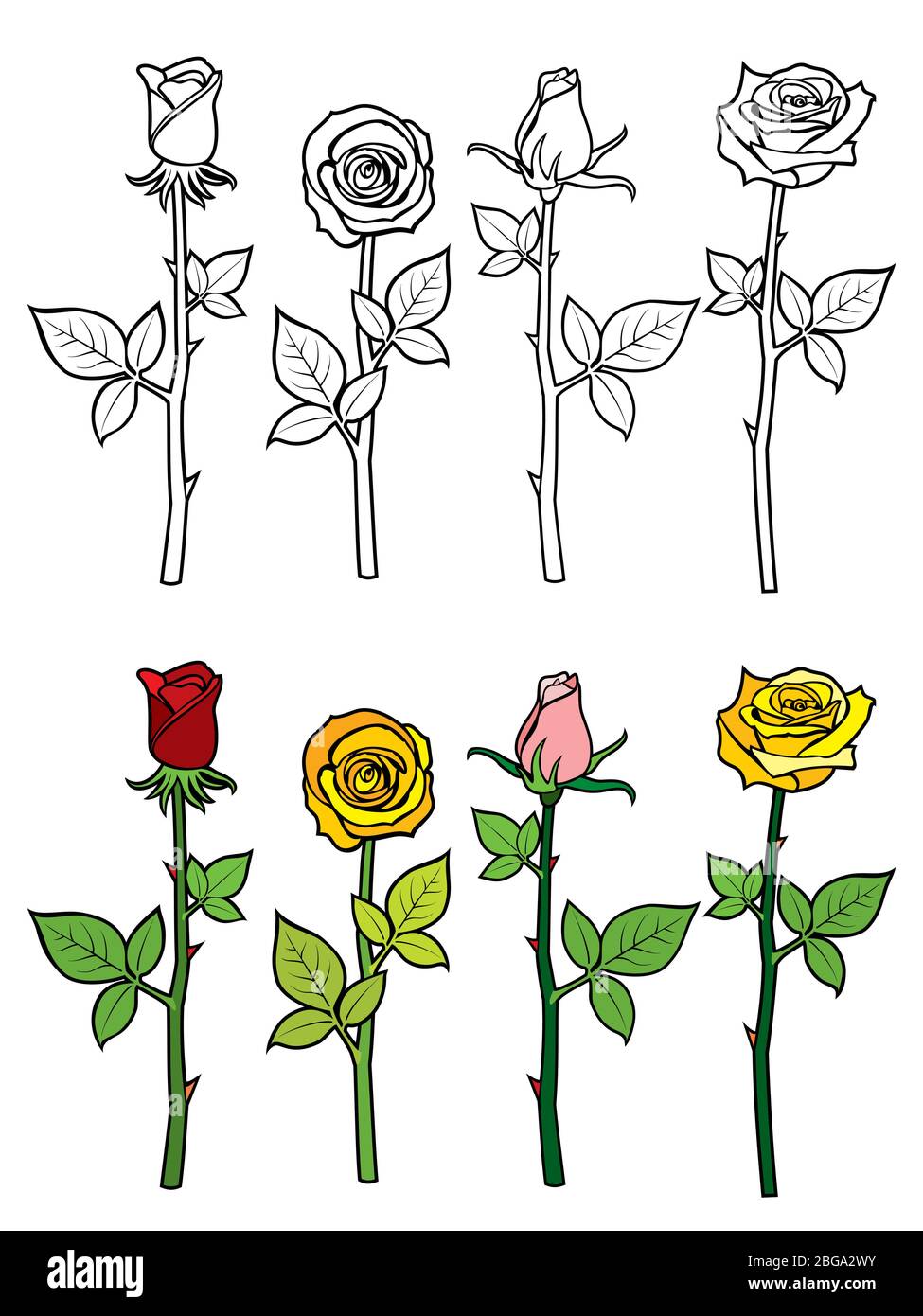 Page de coloriage de rose dessinée à la main - coloré et contour roses ensemble. Illustration vectorielle Illustration de Vecteur