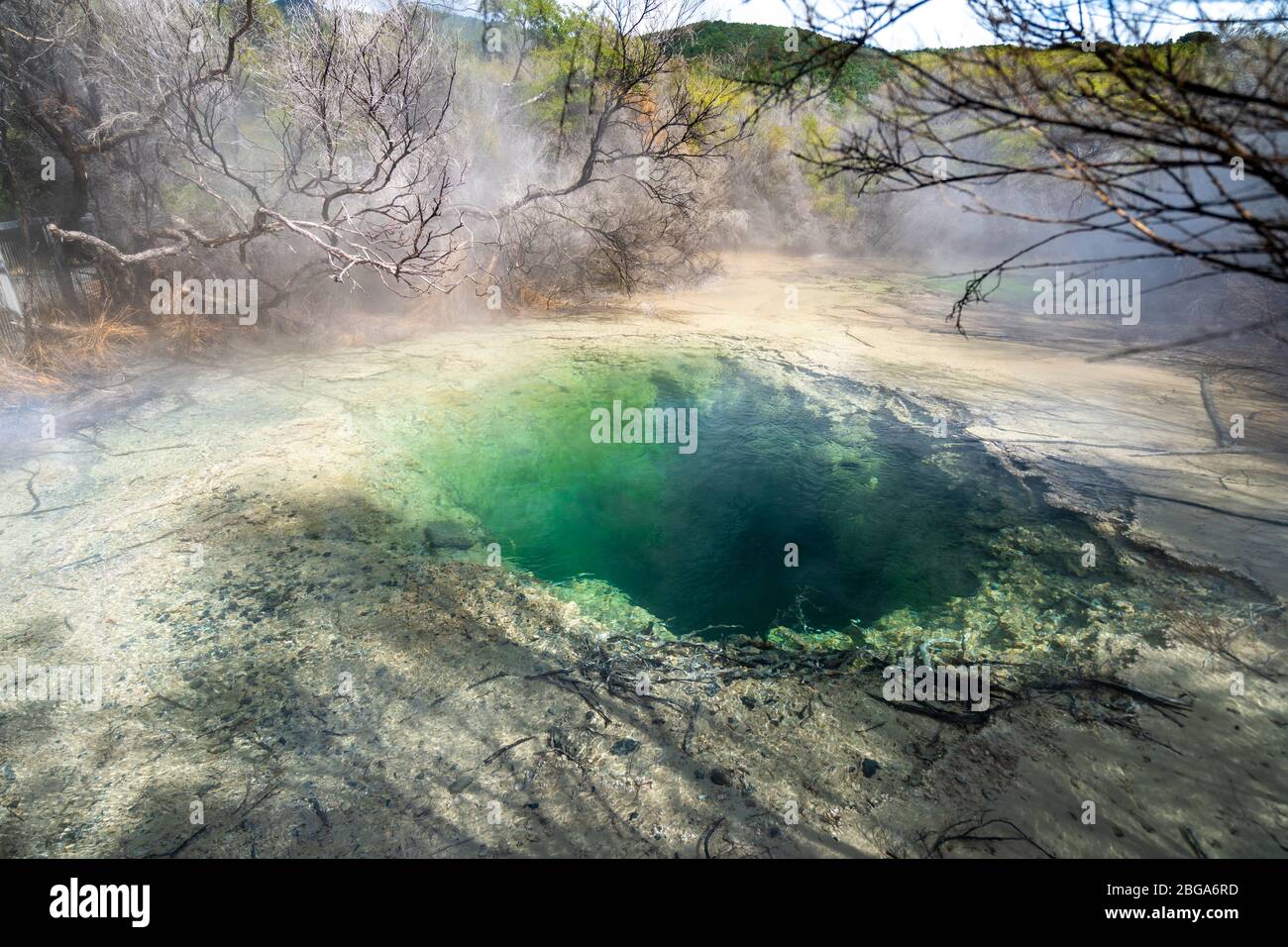 Source thermale, Tokaanu Thermal Walk, Tokaanu, lac Taupo, Île du Nord Nouvelle-Zélande Banque D'Images