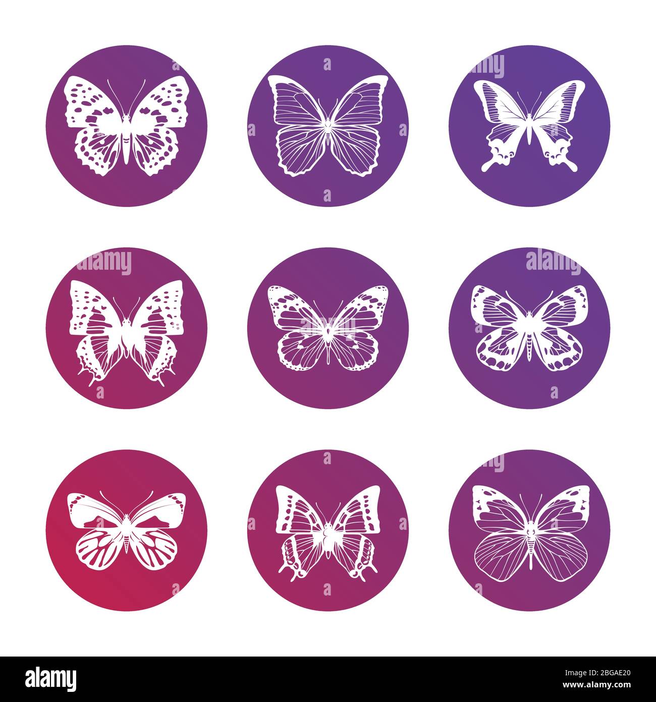 Ensemble lumineux d'icônes avec des silhouettes de papillons blancs. Illustration vectorielle Illustration de Vecteur