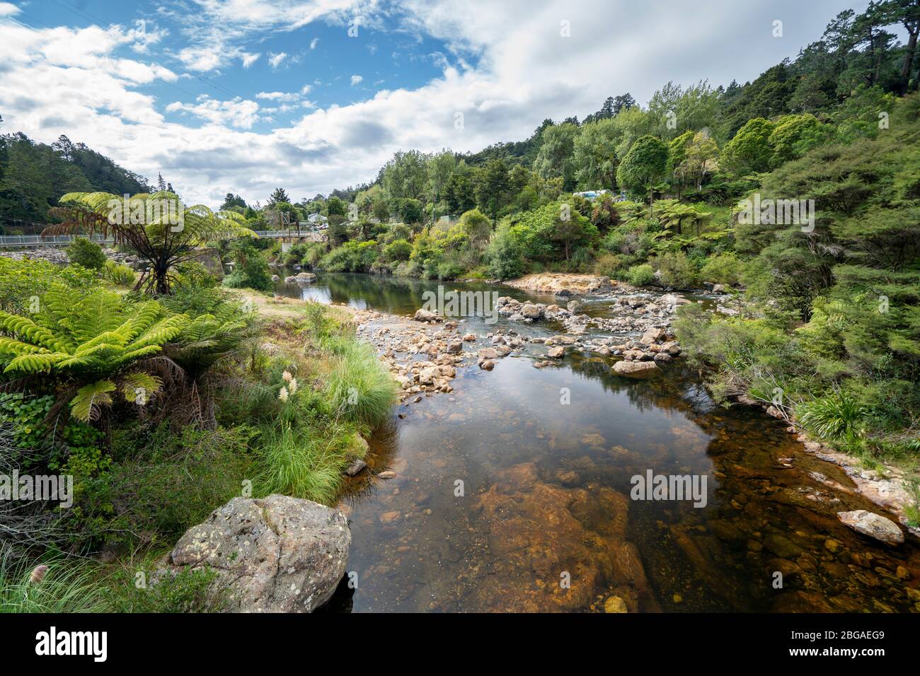 Vue sur la gorge de Karangahake depuis la promenade de Karangahake Windows, Waikino, Île du Nord Nouvelle-Zélande Banque D'Images