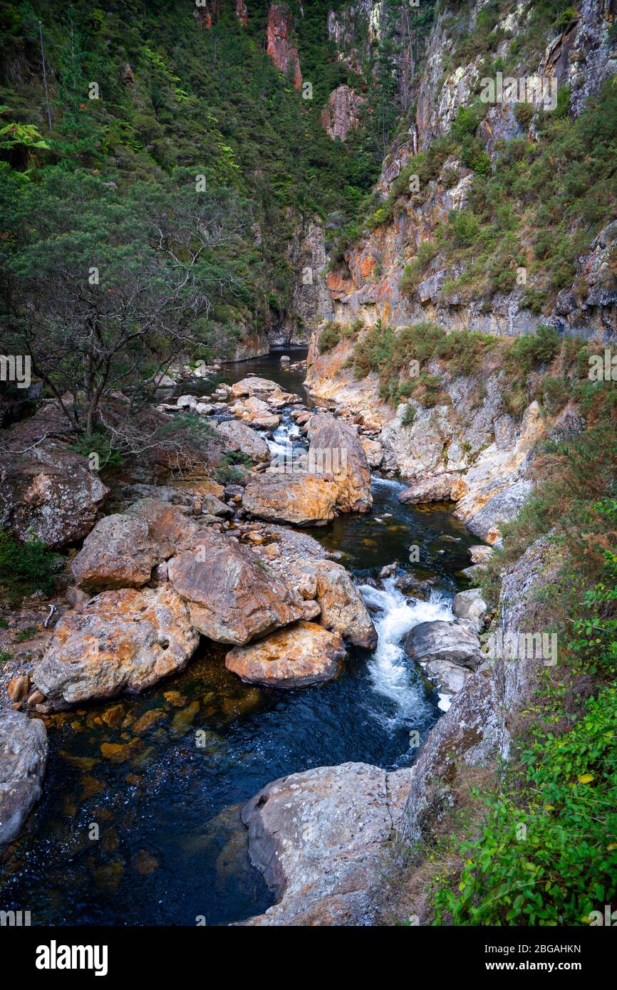 Vue sur la gorge de Karangahake depuis la promenade de Karangahake Windows, Waikino, Île du Nord Nouvelle-Zélande Banque D'Images