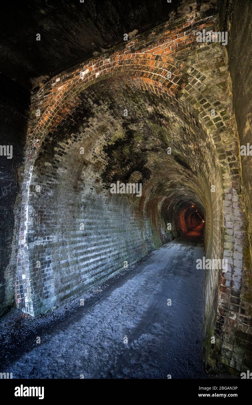 Tunnel ferroviaire de Karangahake sur la piste ferroviaire de Hauraki, île du Nord, Nouvelle-Zélande Banque D'Images