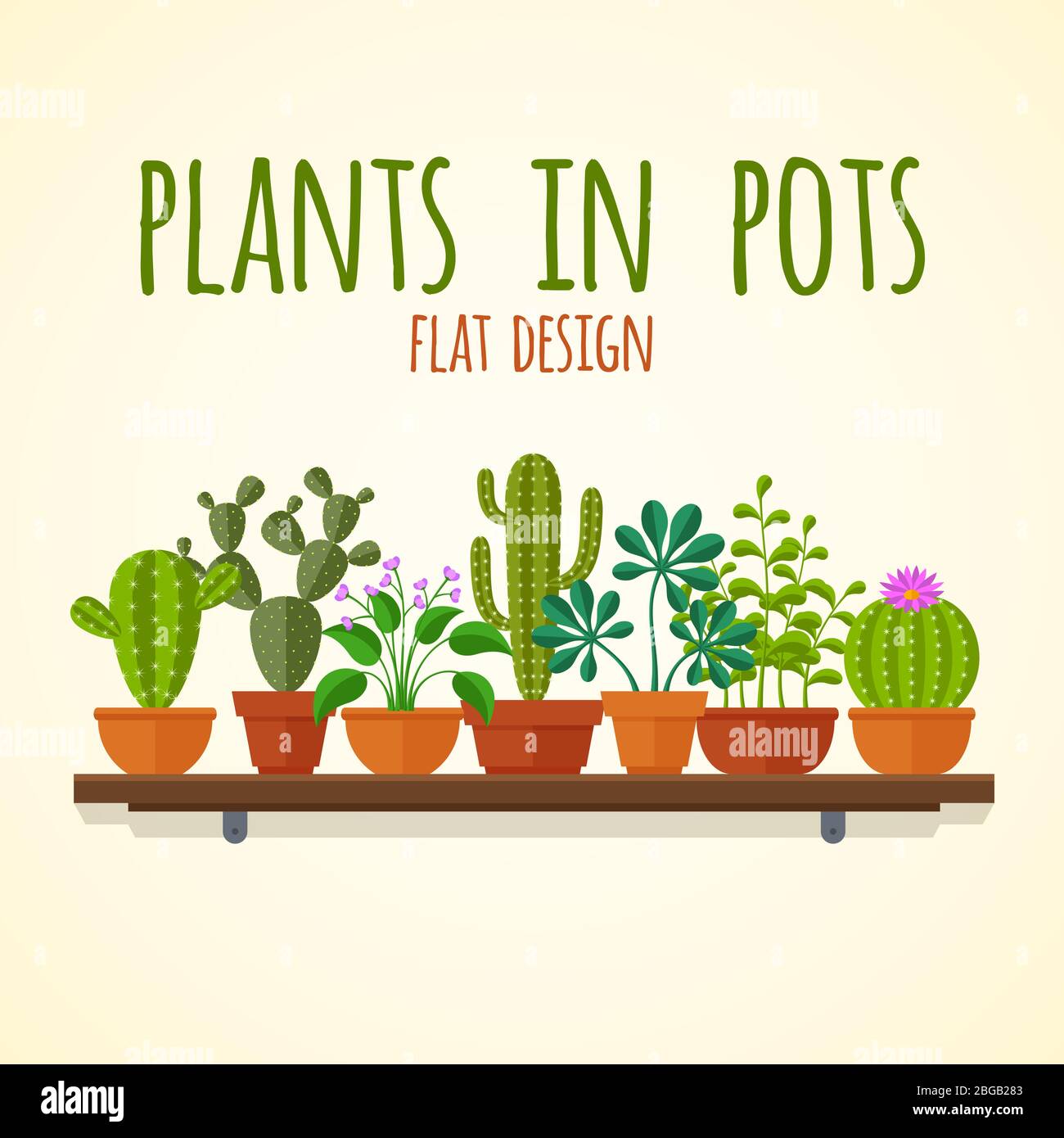 Les acutilisations plates et le concept vectoriel des plantas domestiques. Cactus de plantes en pot, illustration de fleurs intérieures de la nature Illustration de Vecteur