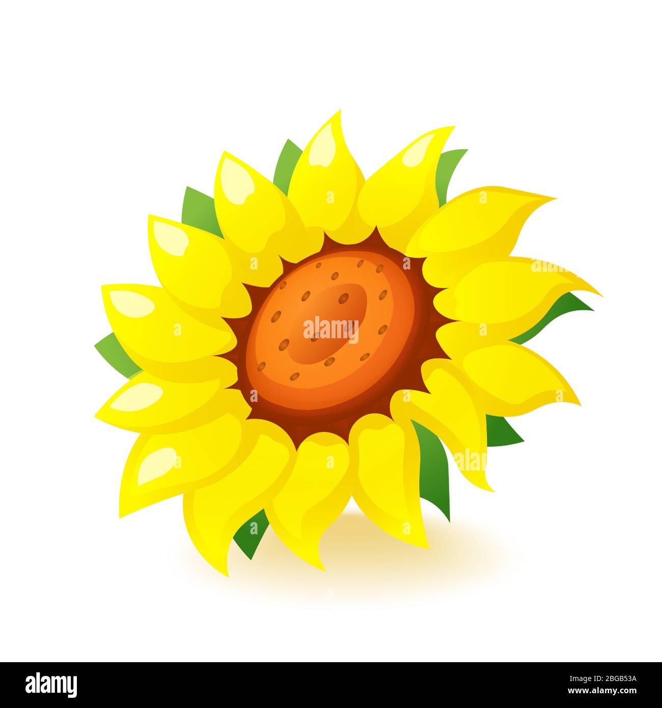 Fleur d'icône de tournesol jaune vif isolée sur fond blanc Illustration de Vecteur