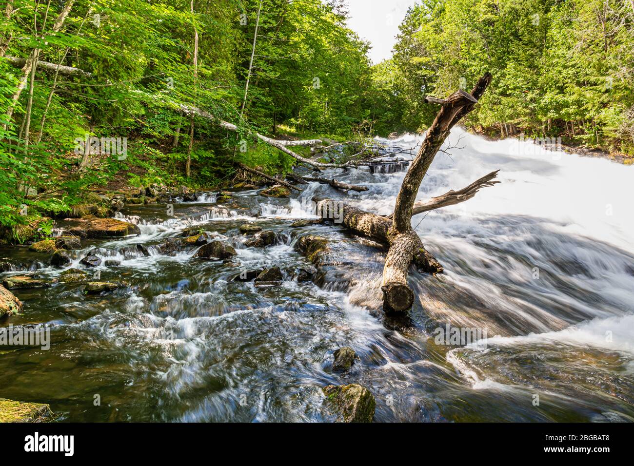 Chutes de babeurre Comté de Haliburton Highlands Algonquin Ontario Canada Banque D'Images