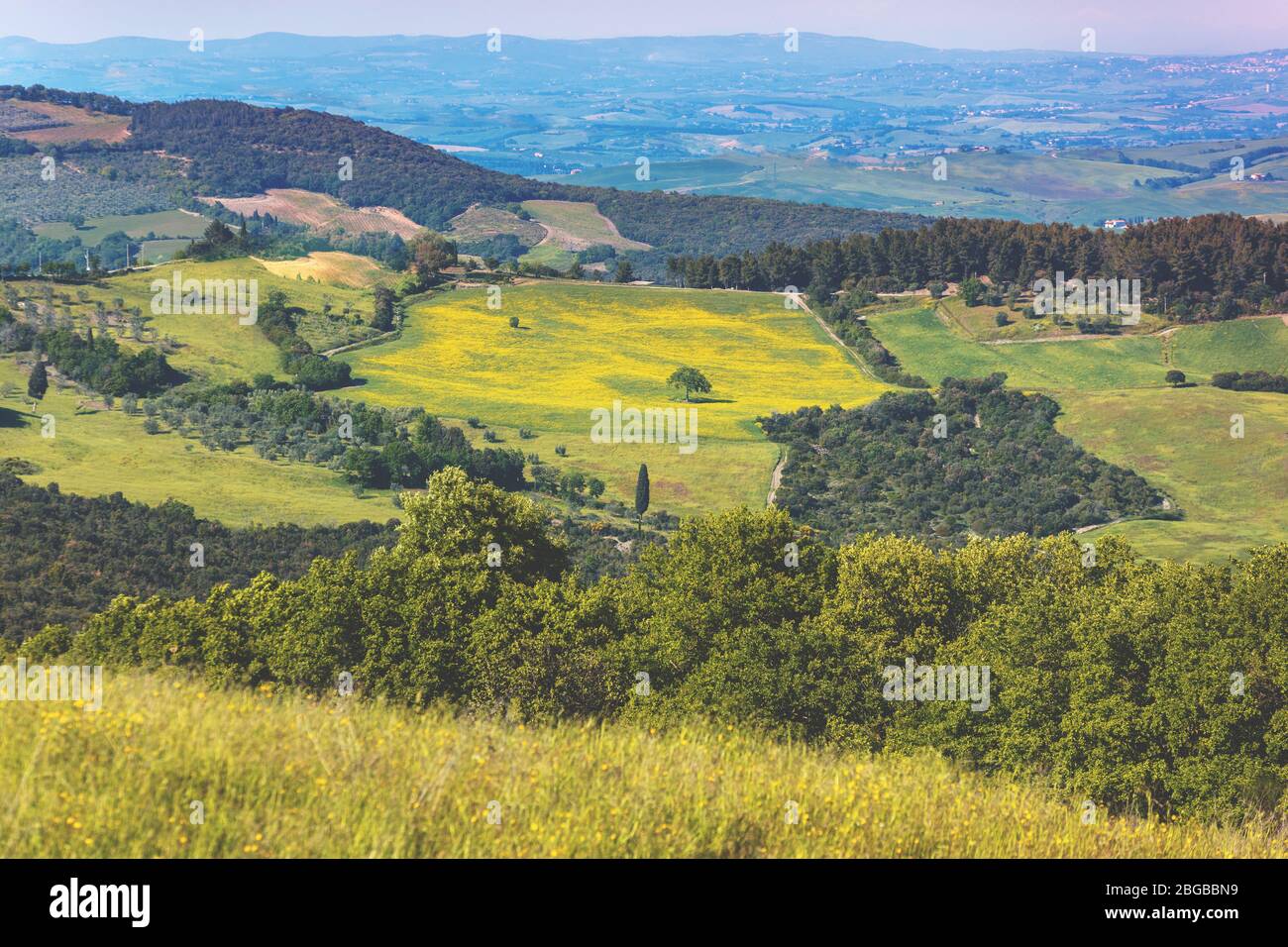 Magnifique paysage printanier. Paysage avec montagnes et vallée, une journée ensoleillée. Vue depuis les champs ensoleillés sur les collines ondulantes de Toscane, Italie Banque D'Images