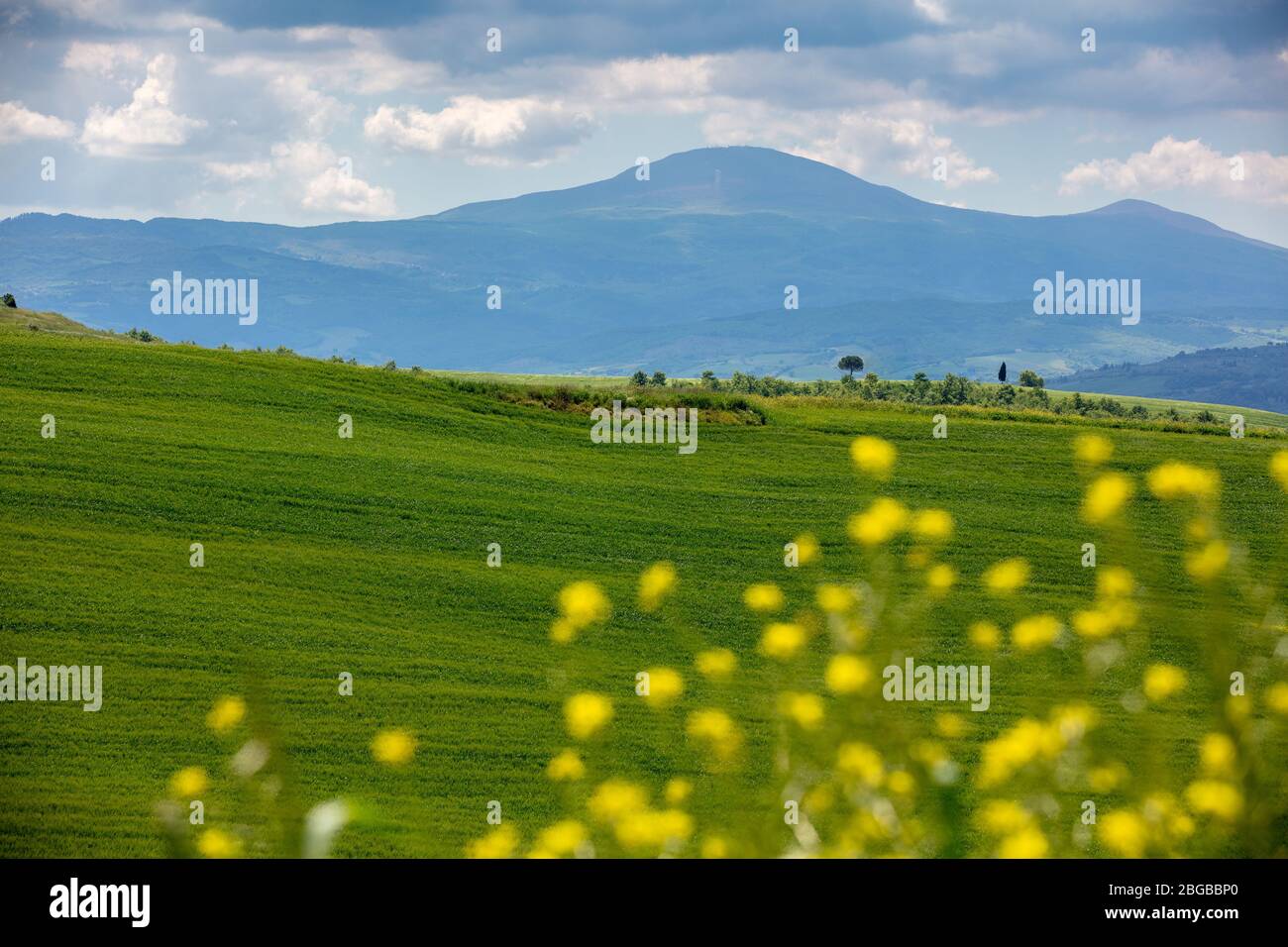 Magnifique paysage printanier. Paysage avec montagnes et vallée, une journée ensoleillée. Vue depuis les champs ensoleillés sur les collines ondulantes de Toscane, Italie Banque D'Images