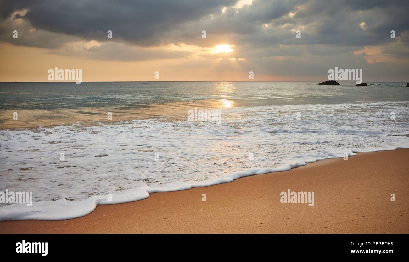 Plage tropicale au beau coucher du soleil, Sri Lanka. Banque D'Images