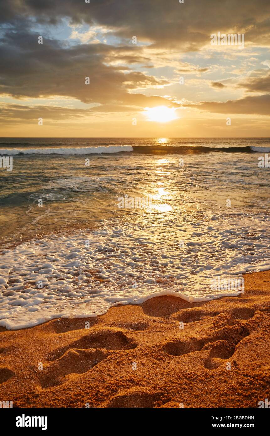 Plage tropicale au beau coucher du soleil doré, Sri Lanka. Banque D'Images