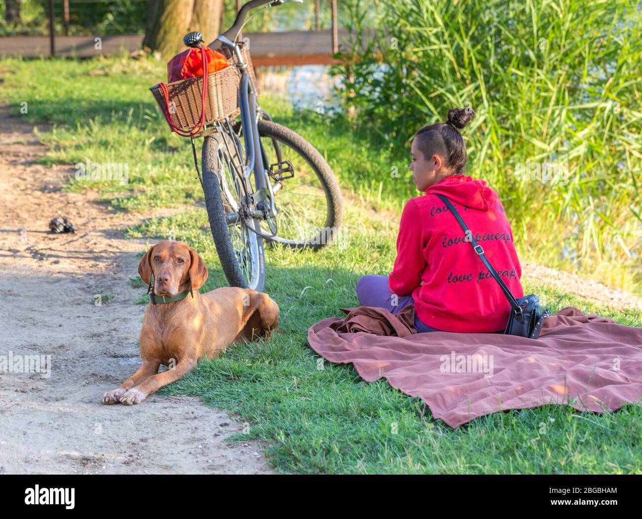 Nyiregyhaza, Hongrie - 29 juin 2019: Jeune fille moderne avec Magyar Vizsla chien reposant sur le lac. Des vélos se dresse sur l'herbe Banque D'Images
