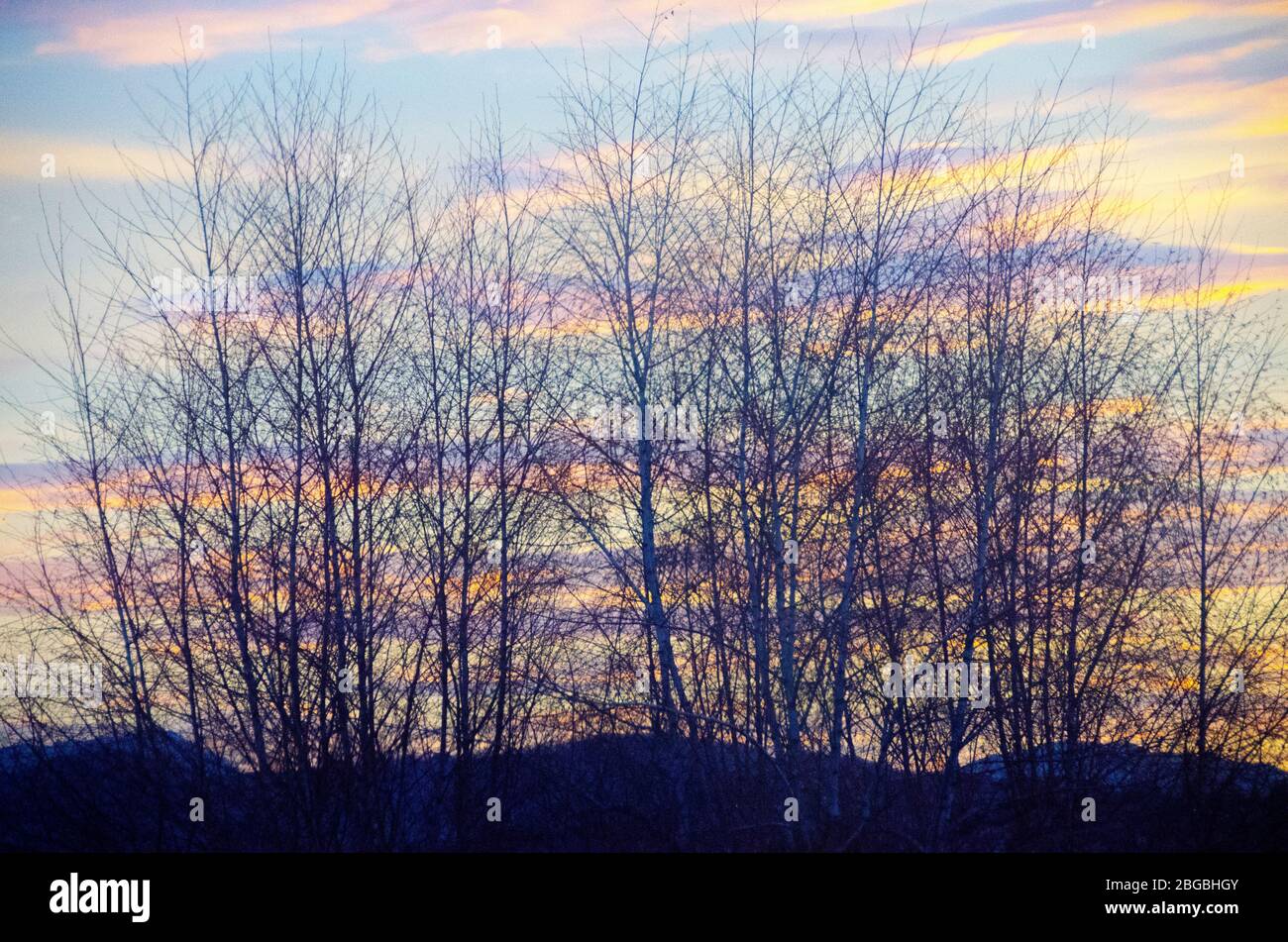 Coucher du soleil ciel et nuages colorés, avec arbres, en France Banque D'Images