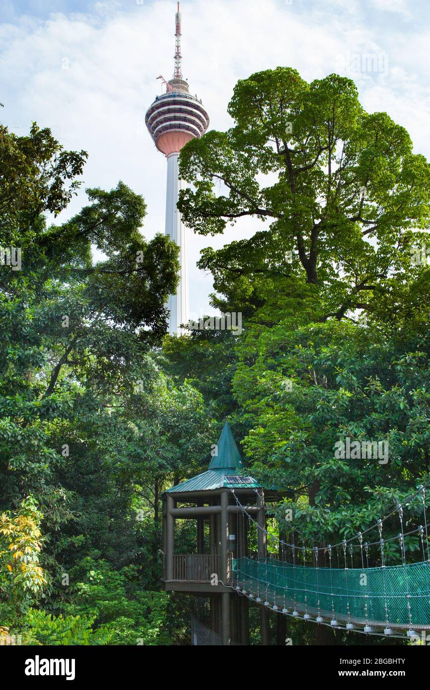 ECO Forest Park, Kuala Lumpur, Malaisie Banque D'Images