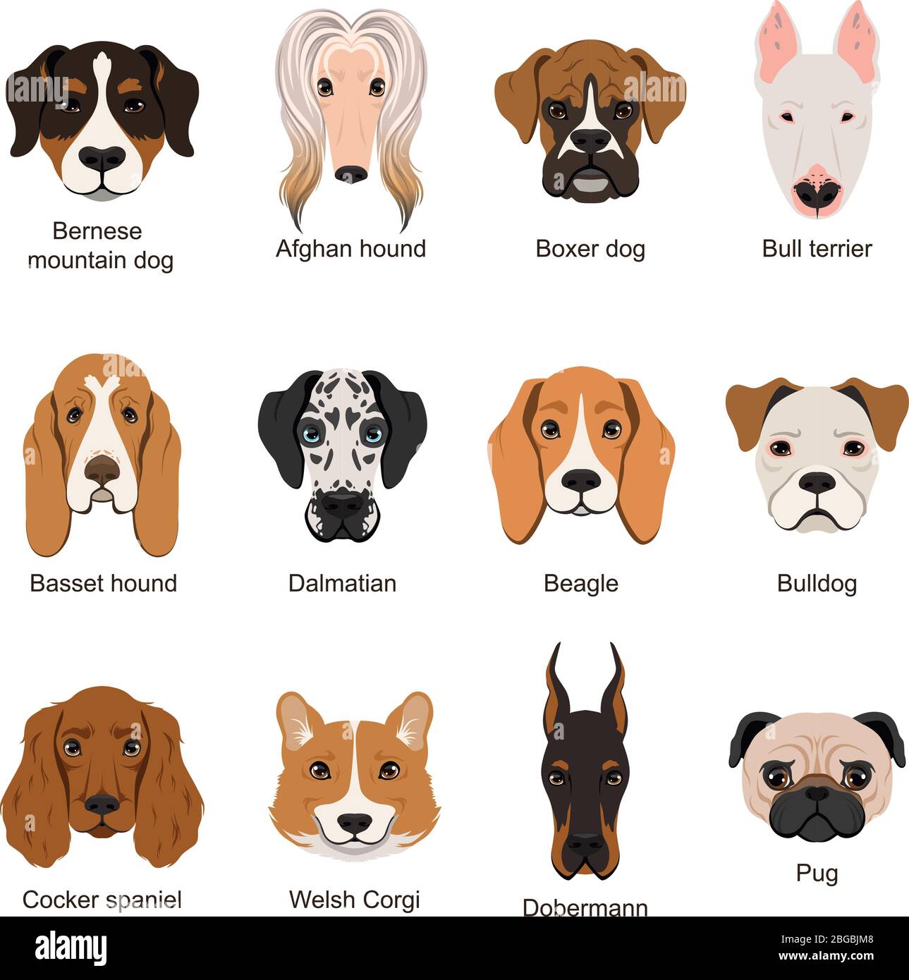Différents chiens. Les illustrations vectorielles s'isolent en blanc Illustration de Vecteur