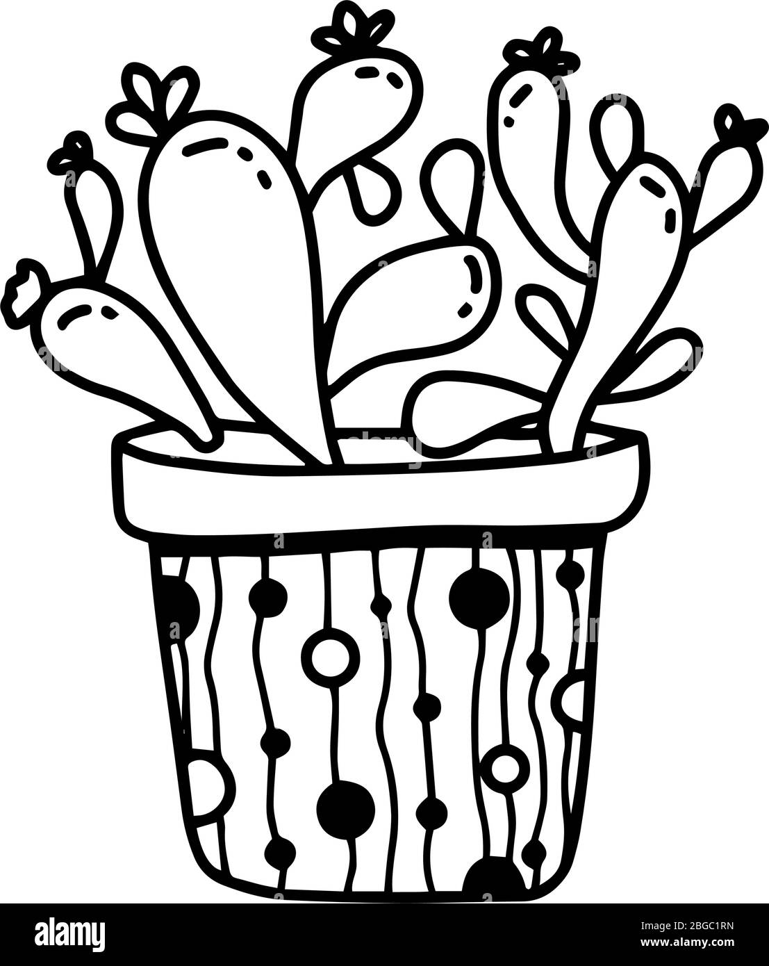 Plante de maison dessinée à la main succulente dans le pot dans le style de dessin animé de dodle isolé sur fond blanc. Vecteur contour de la collection de plantes en pot Illustration de Vecteur