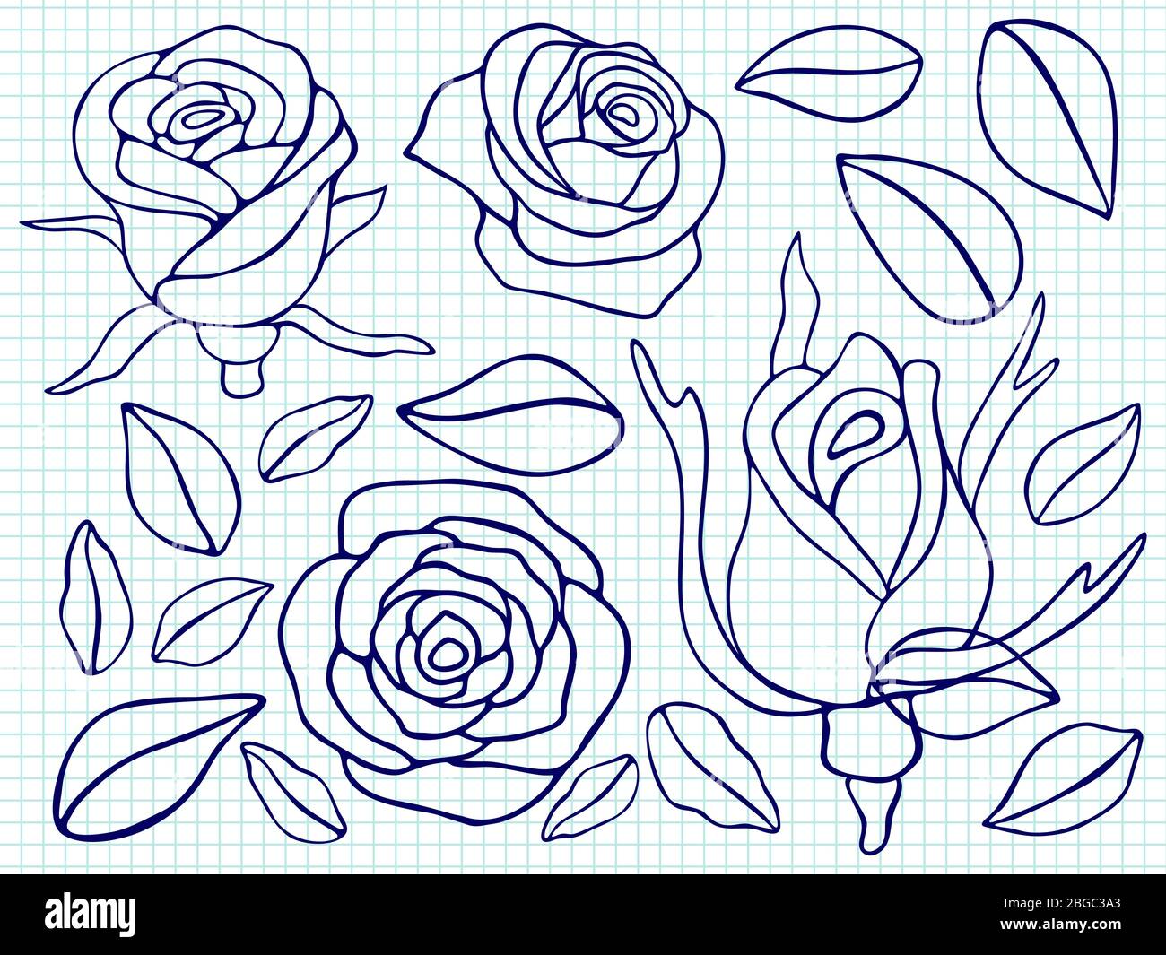 Stylo bille dessin roses et feuilles sur la page du bloc-notes. Illustration vectorielle Illustration de Vecteur