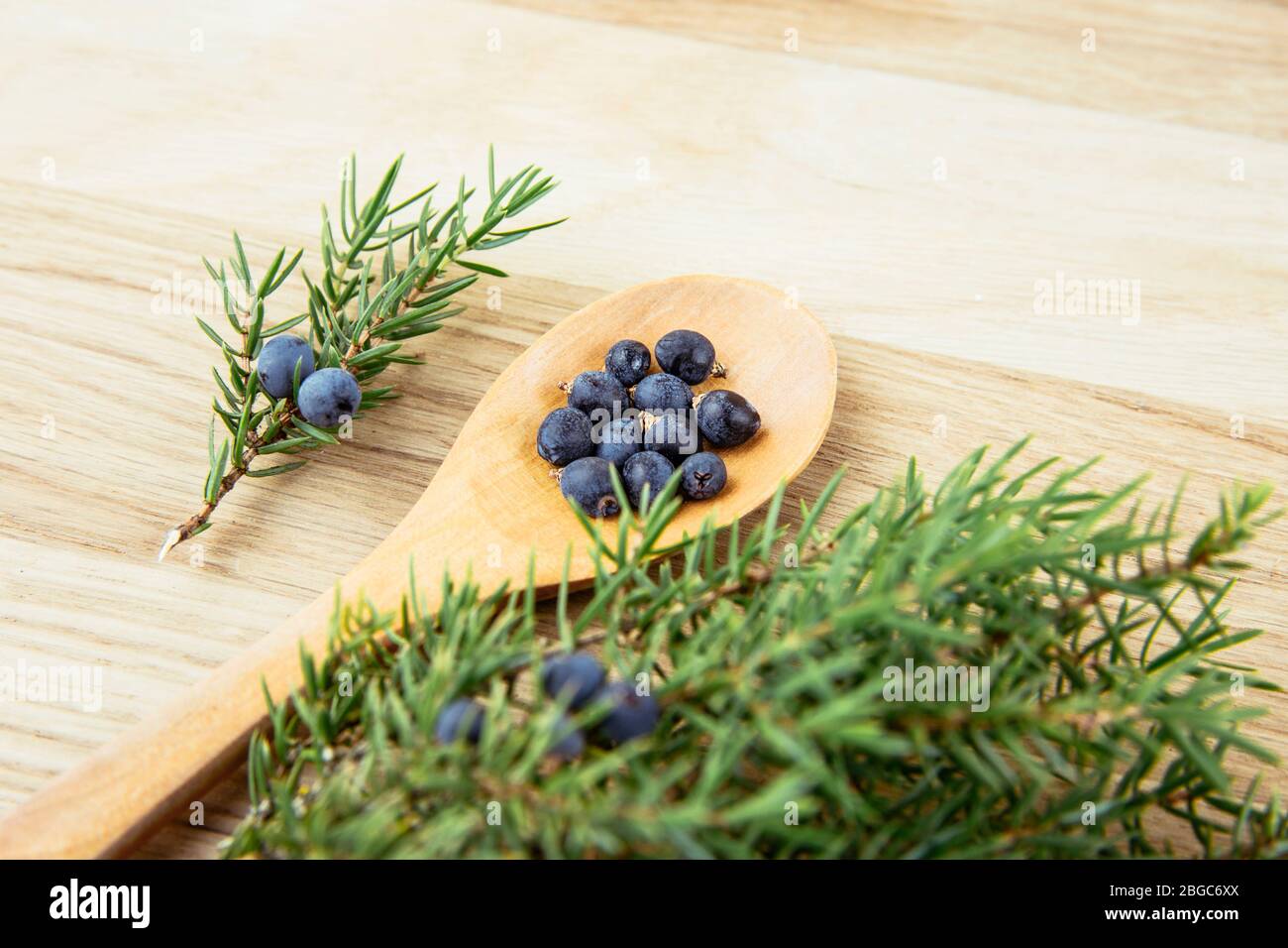 Vue plate sur la couperde Juniper latin Juniperus communis baies sur cuillère en bois, branche de genévrier avec cônes de conteur et baies éparpillées autour. Banque D'Images