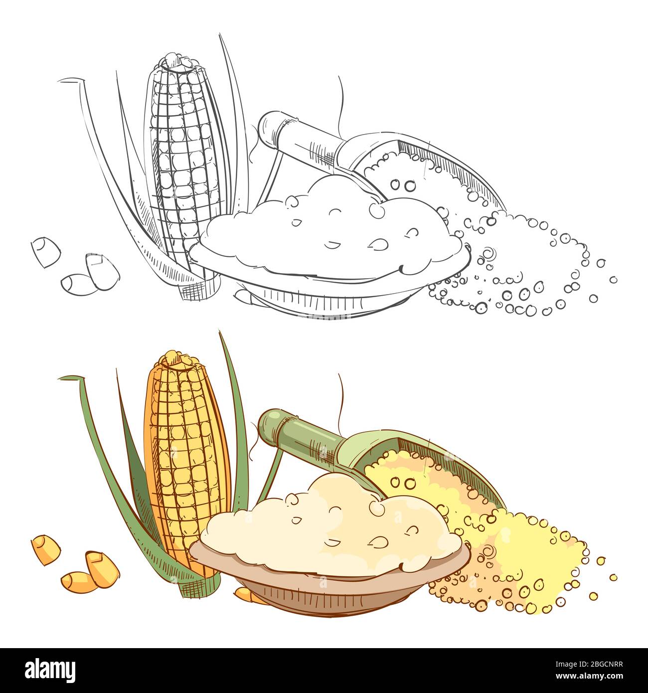 Page de coloriage d'esquisse de porridge de maïs. Produit alimentaire sain, illustration vectorielle Illustration de Vecteur