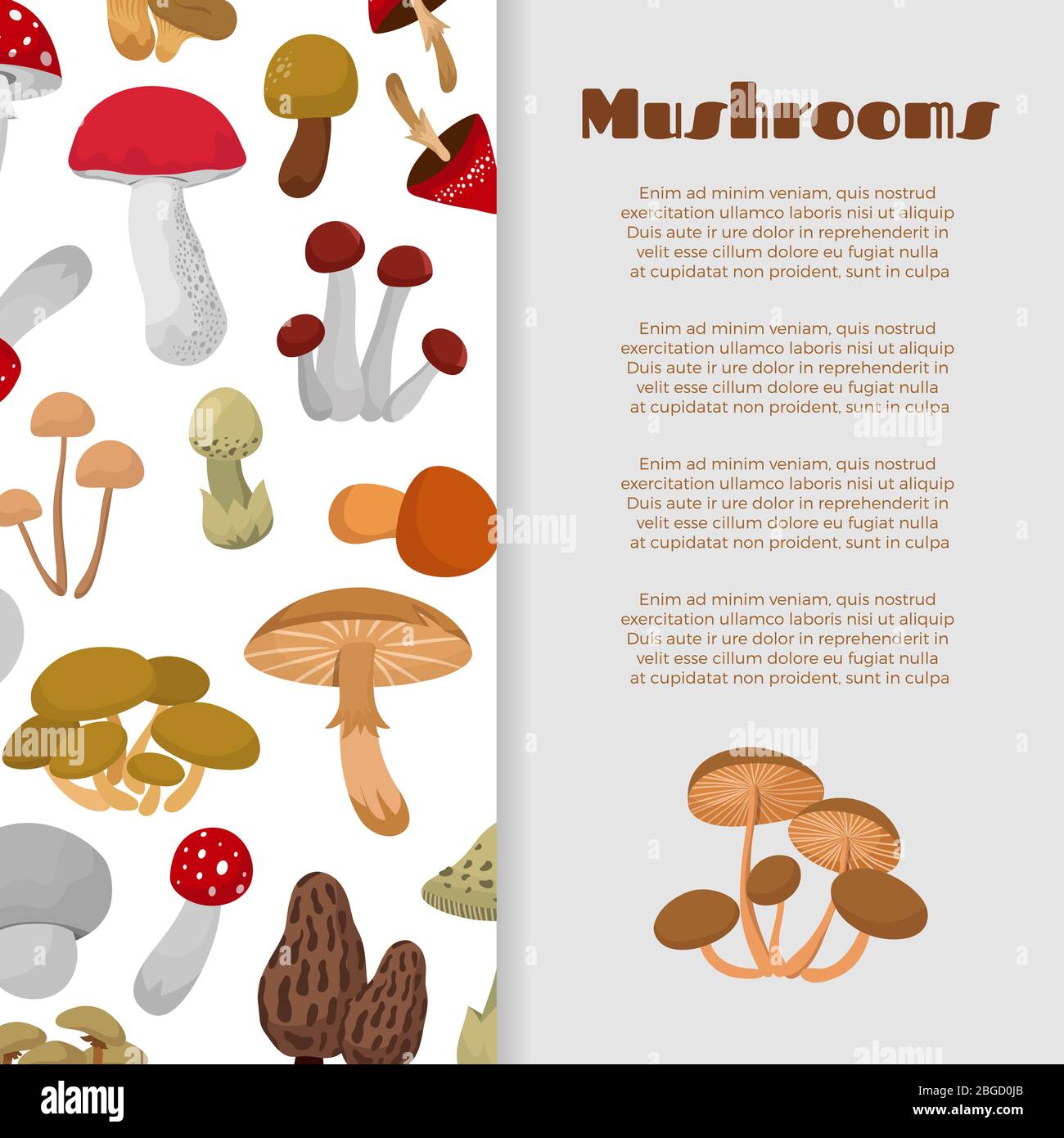 Motif bandeau de dessin animé de champignons frais d'automne et de tabourets. Illustration vectorielle Illustration de Vecteur