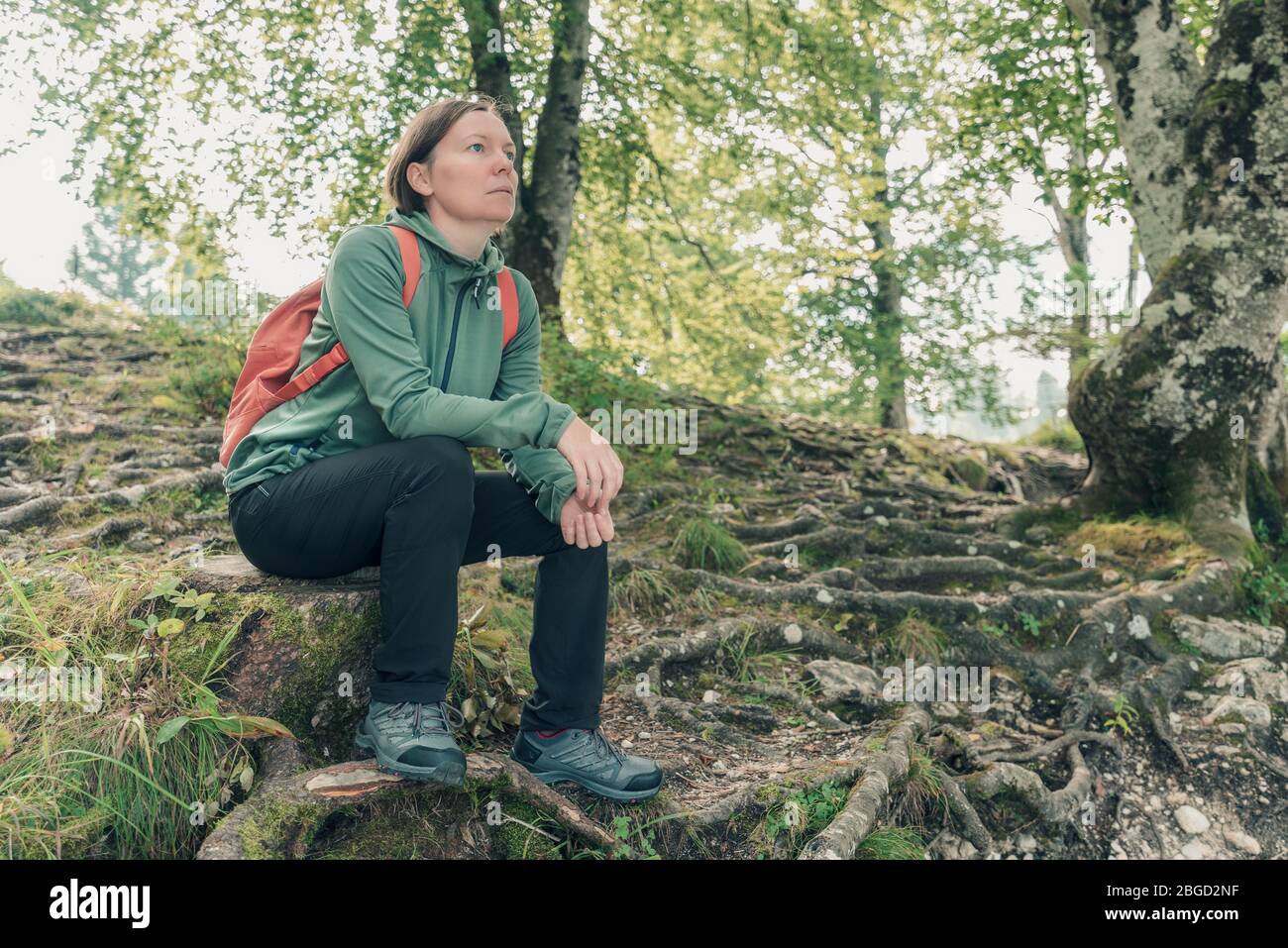 Femme randonneur se reposant et contemplant dans la forêt, en prenant une pause de trekking activité extérieure dans les bois Banque D'Images