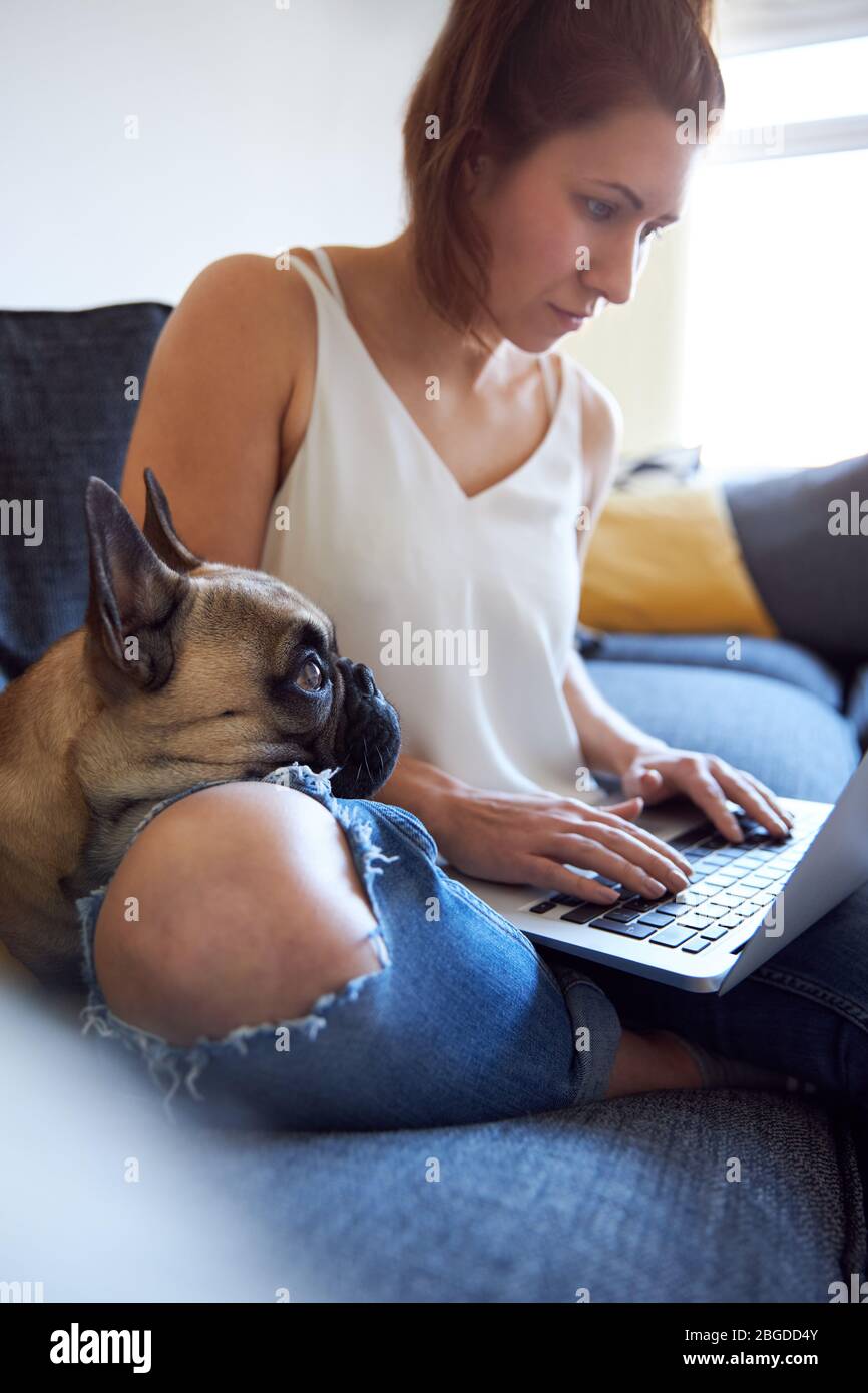 Anonyme jeune femme travaillant sur un canapé avec un chien de Bulldog français. Banque D'Images