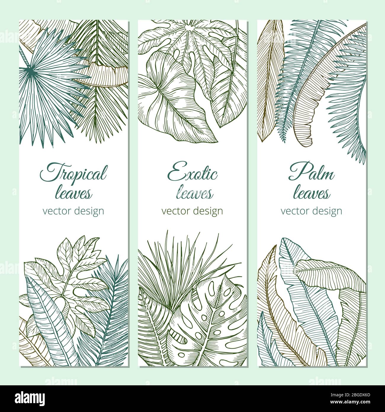 Plantes tropicales avec différentes feuilles et branches. Jeu de bannières avec place pour votre texte Illustration de Vecteur