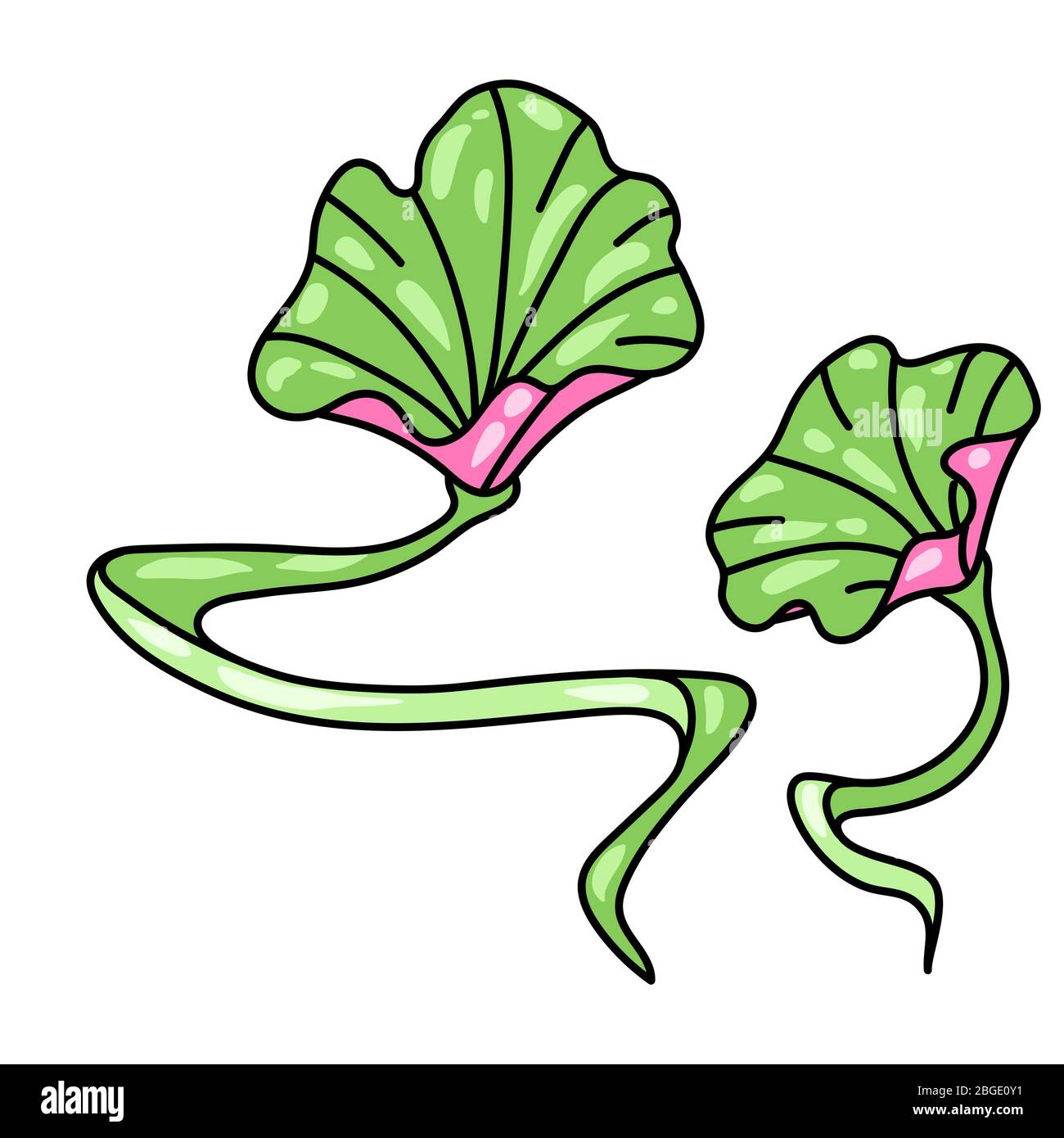 Illustration des feuilles de lotus. Feuillage décoratif en nénuphars. Illustration de Vecteur