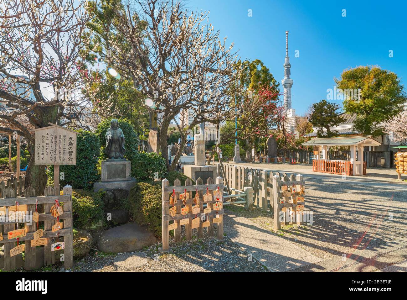 tokyo, japon - 08 mars 2020: Statue de bronze et poème du poète de l'ère Heian Sugawara no Michizane à l'âge de 5 ans qui adorait la prune tre Banque D'Images