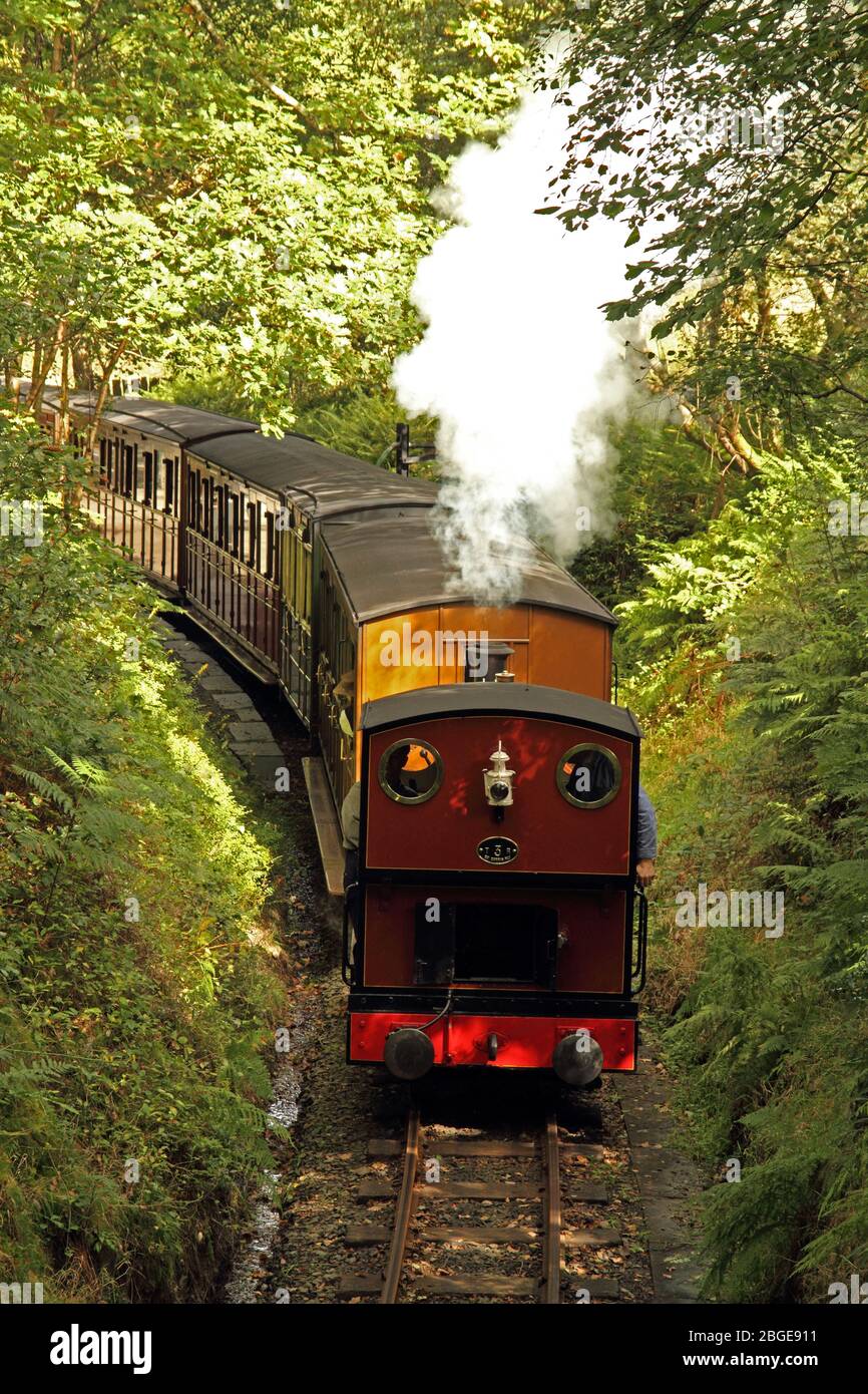 Train à vapeur sur le chemin de fer de Talyllyn près de Dolgoch au Pays de Galles. La voie est de 686 mm. Banque D'Images
