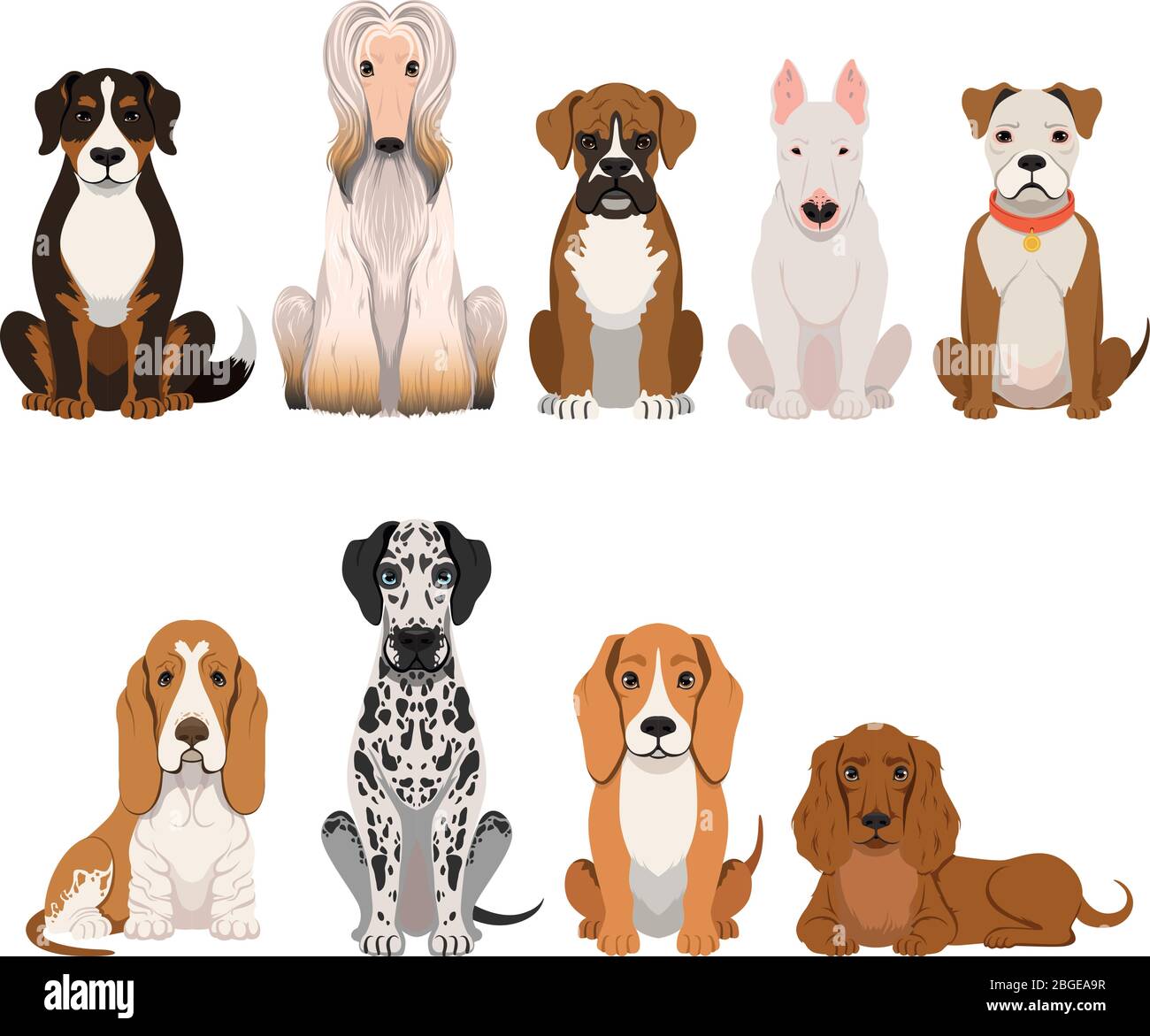 Différentes races de chiens. Groupe d'animaux domestiques dans le style de dessin animé. Jeu d'illustrations vectorielles Illustration de Vecteur