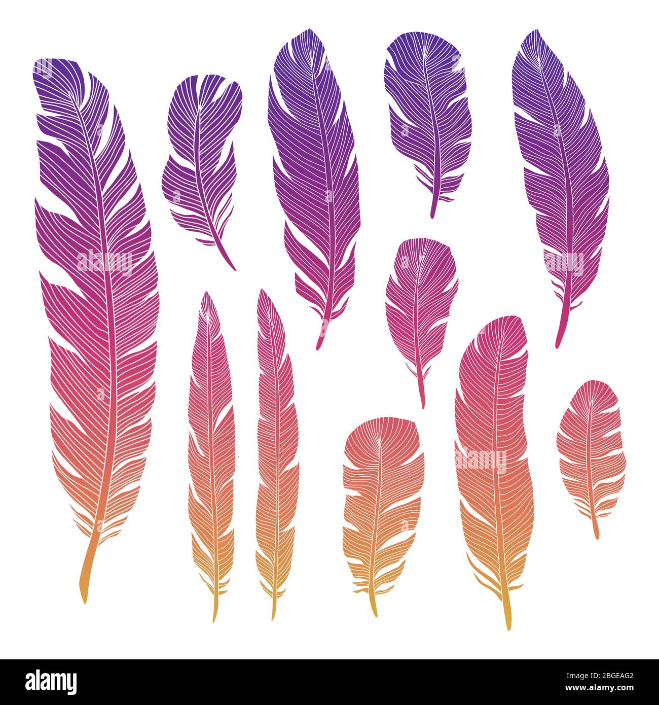 Les oiseaux colorés plumes de l'ensemble isolé sur fond blanc. Illustration vectorielle Illustration de Vecteur