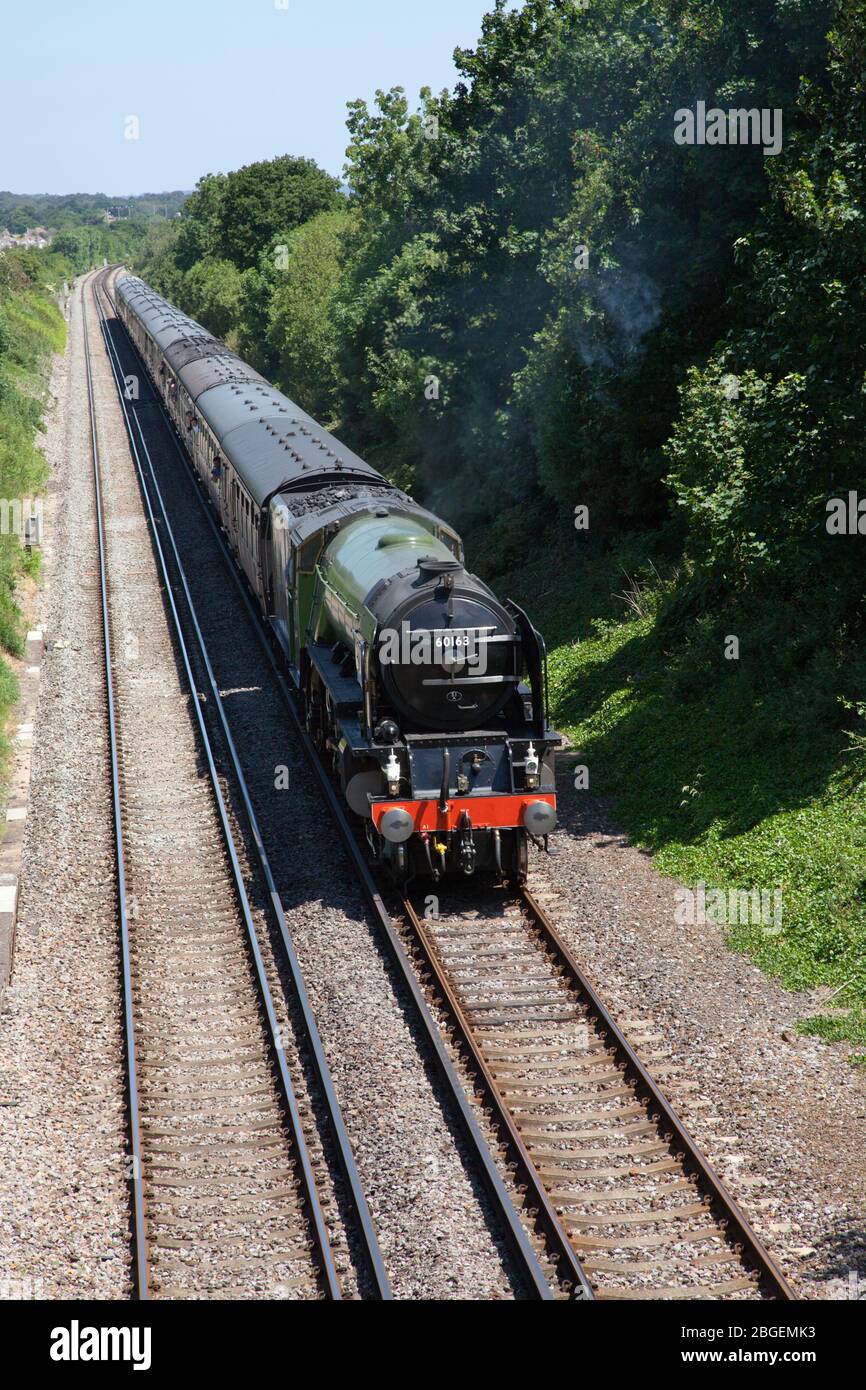 Locomotive à vapeur 60163 Tornado sur un train d'excursion de ligne principale près de Wareham en Angleterre, au Royaume-Uni Banque D'Images