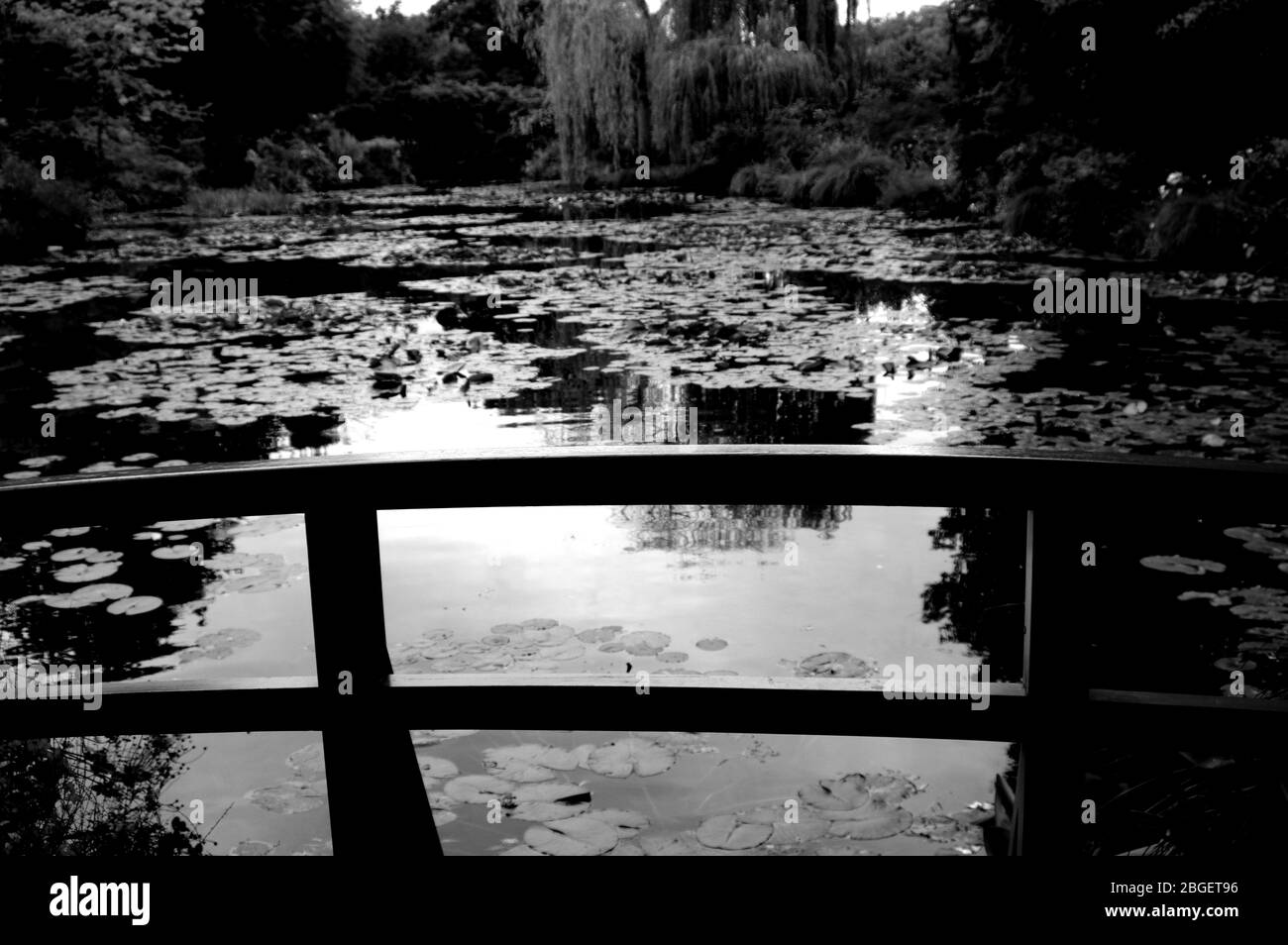 Magnifique étang de poissons de jardin conçu avec de l'eau-lily dans un jardin bien entretenu arrière-plan jardinage. Banque D'Images