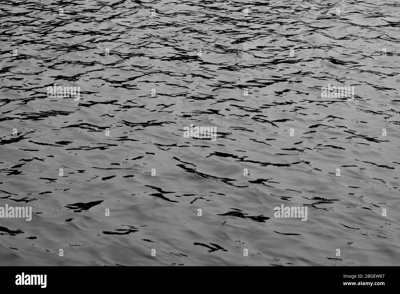 Magnifique étang de poissons de jardin conçu avec de l'eau-lily dans un jardin bien entretenu arrière-plan jardinage. Banque D'Images