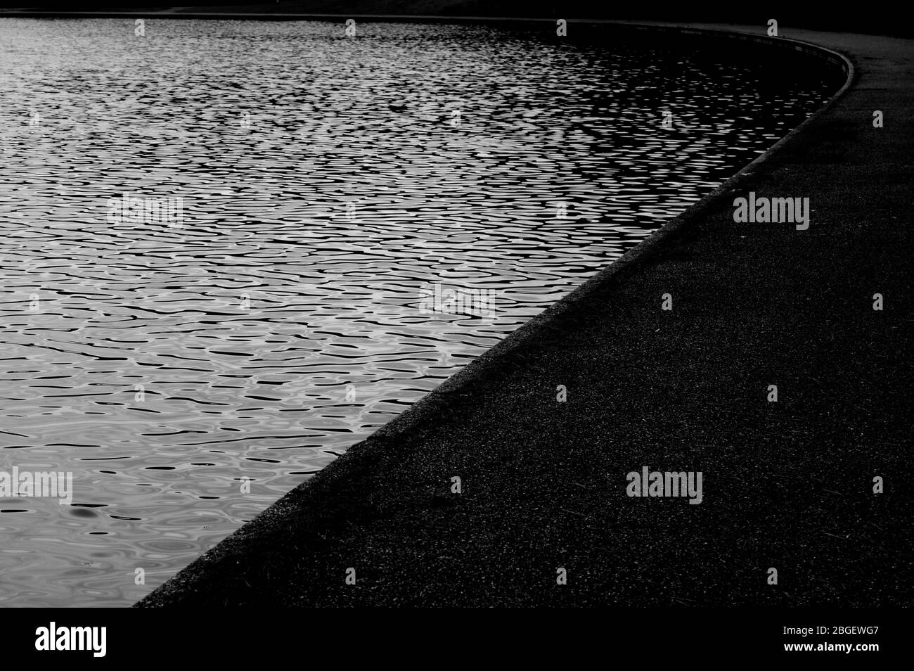 Magnifique étang de poissons de jardin conçu avec de l'eau-lily dans un jardin bien entretenu arrière-plan jardinage. Banque D'Images