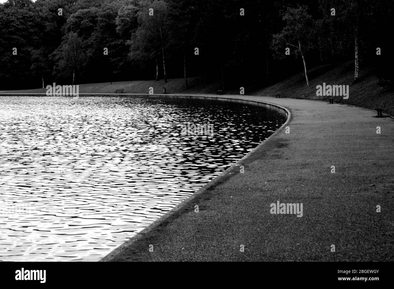 Magnifique étang de poissons de jardin conçu avec de l'eau-lily dans un jardin bien entretenu arrière-plan jardinage. Banque D'Images