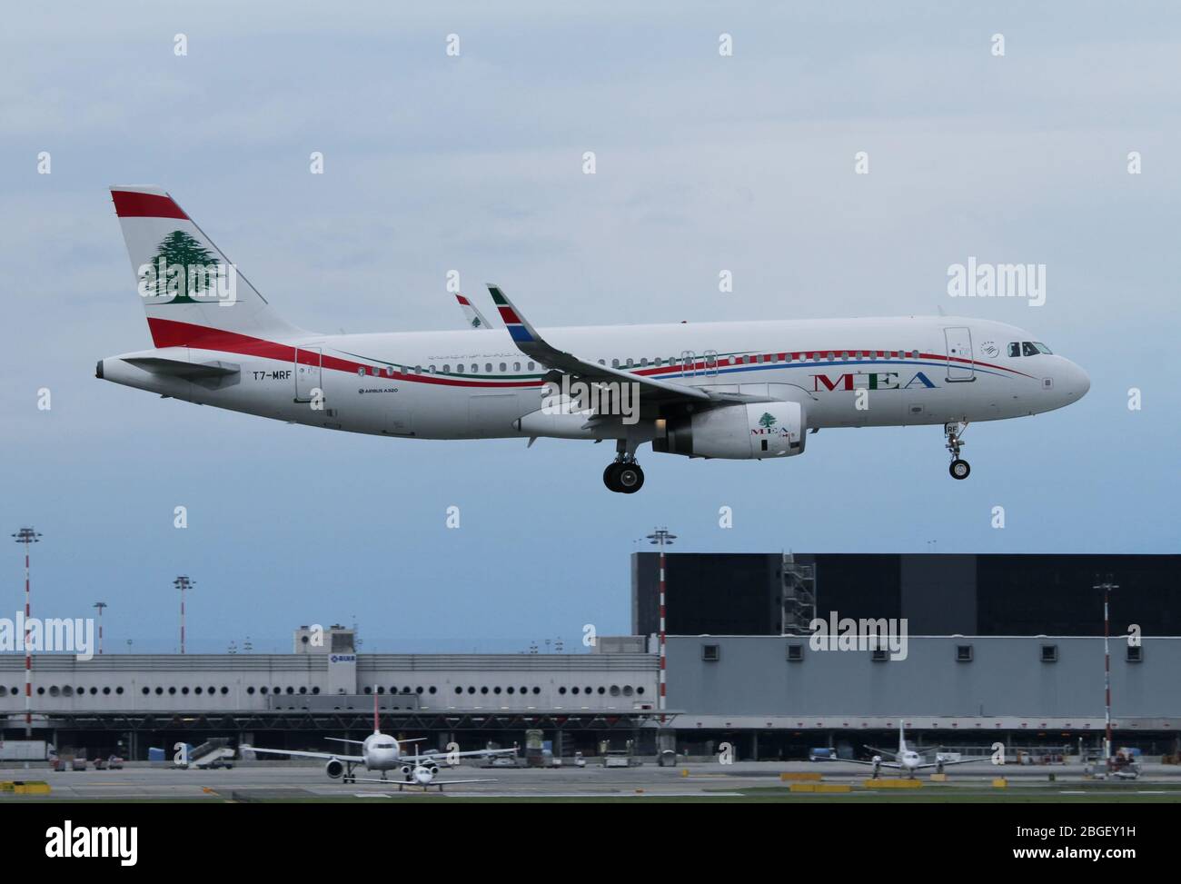 TEA MRF 7 - Middle East Airlines Airbus 320-232(WL) à Malpensa (MXP / LIMC), Milan, Italie Banque D'Images