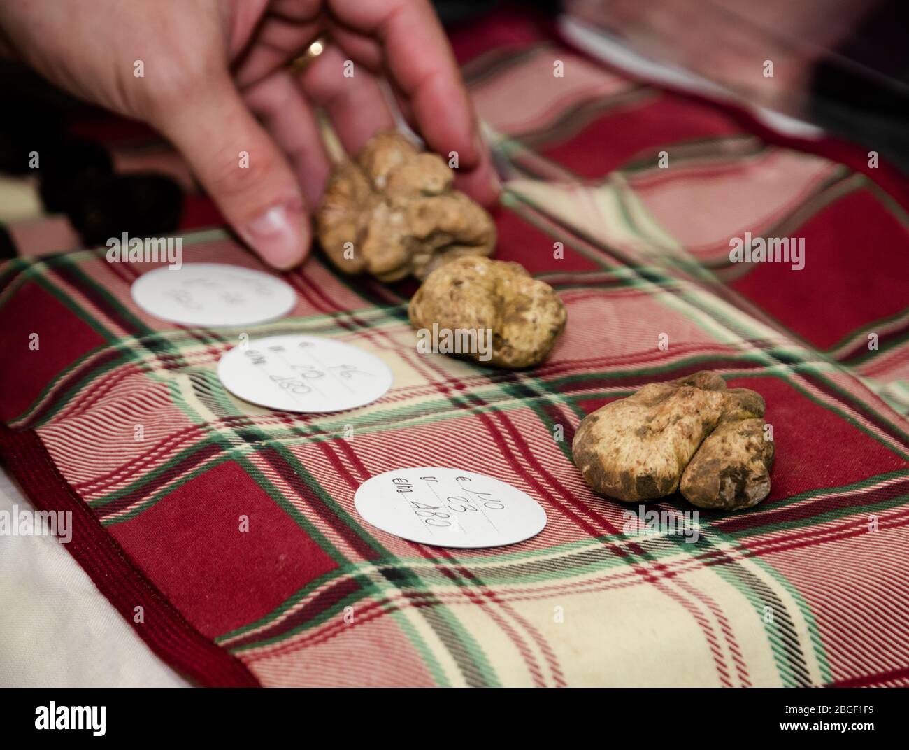 Truffes blanches (Tuber Magnatum Pico) et étiquettes de prix sur un stand de Trader de la Fiera del Tartufo (Foire de la truffe) d'Alba, Piémont (Italie) Banque D'Images