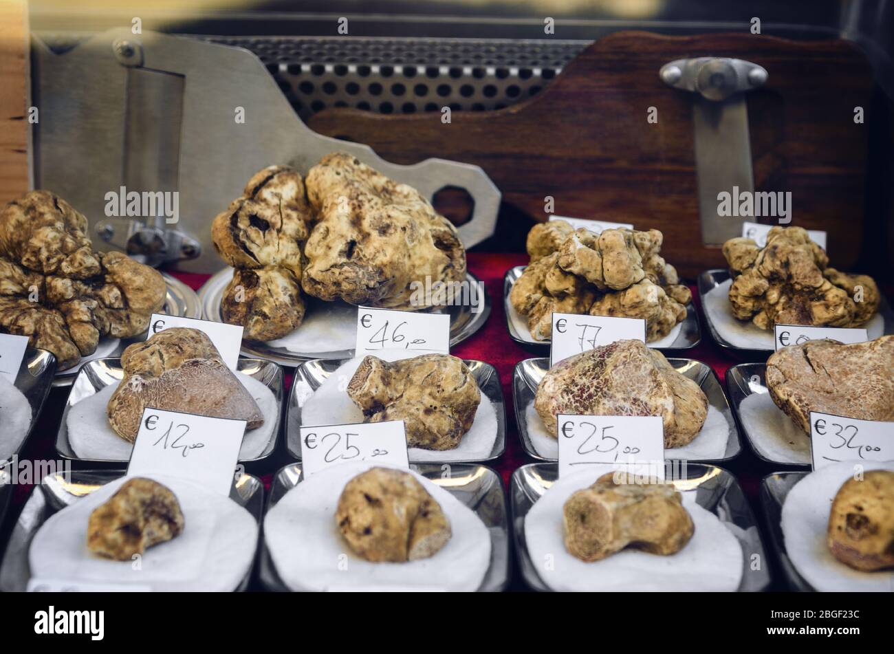 Truffes blanches (Tuber Magnatum Pico) sur un stand de Trader de la Fiera del Tartufo (Foire de la truffe) d'Alba, Piémont (Italie), plus important international Banque D'Images