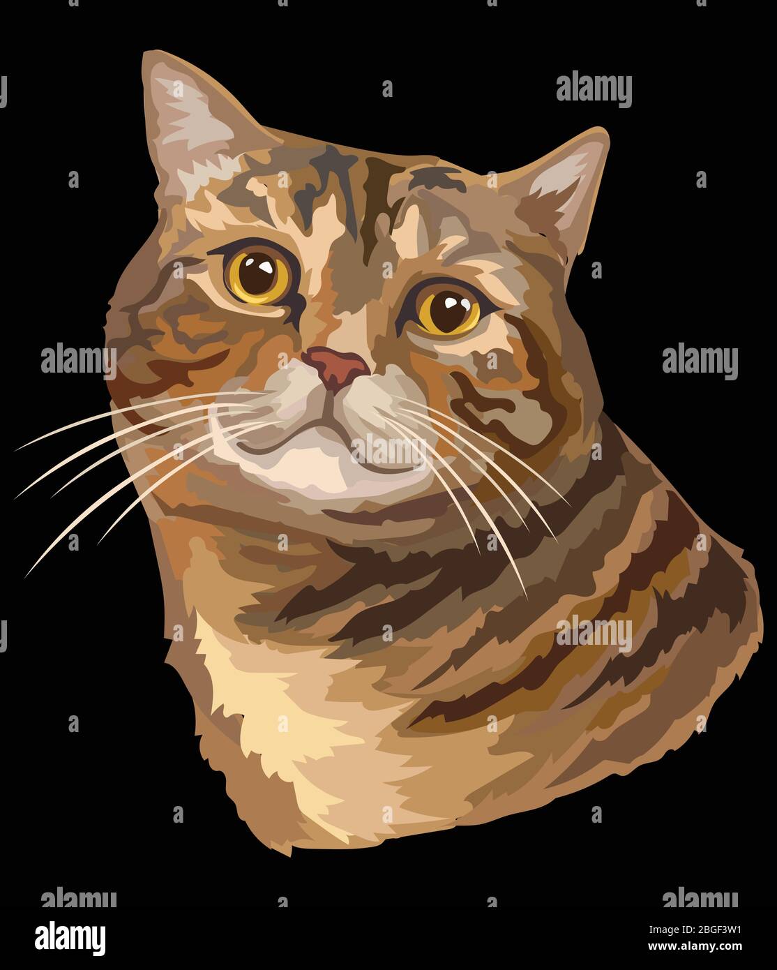 Portrait coloré de dessin vectoriel de chat. Portrait rétro réaliste de tabby Cat. Illustration vectorielle vintage isolée sur fond noir. Image bonne f Illustration de Vecteur