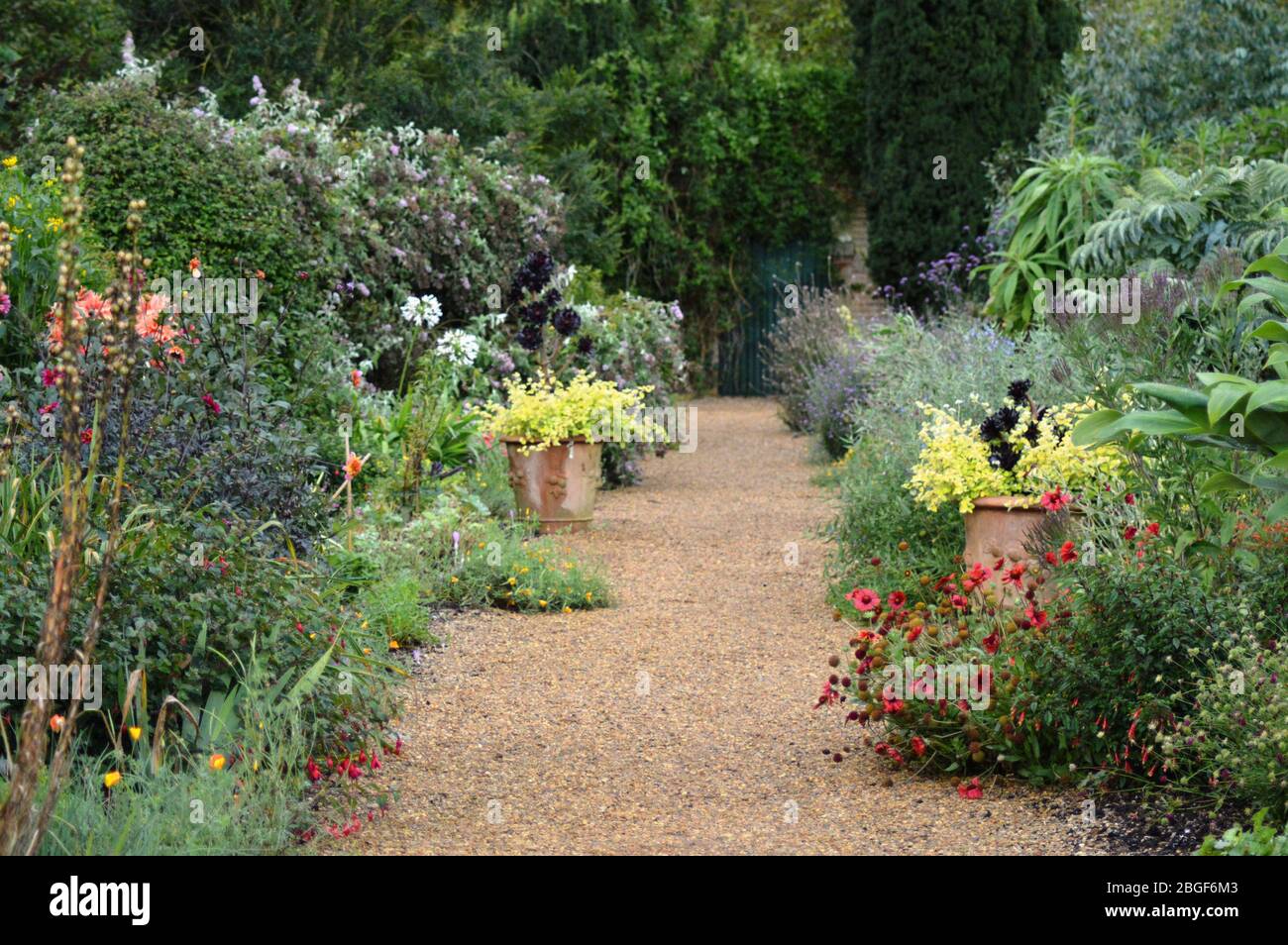 Un jardin de cottage établi avec des frontières herbacées en Angleterre Banque D'Images