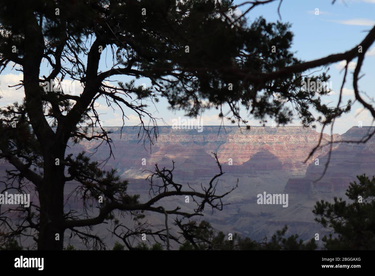 Une photo prise au Grand Canyon Banque D'Images