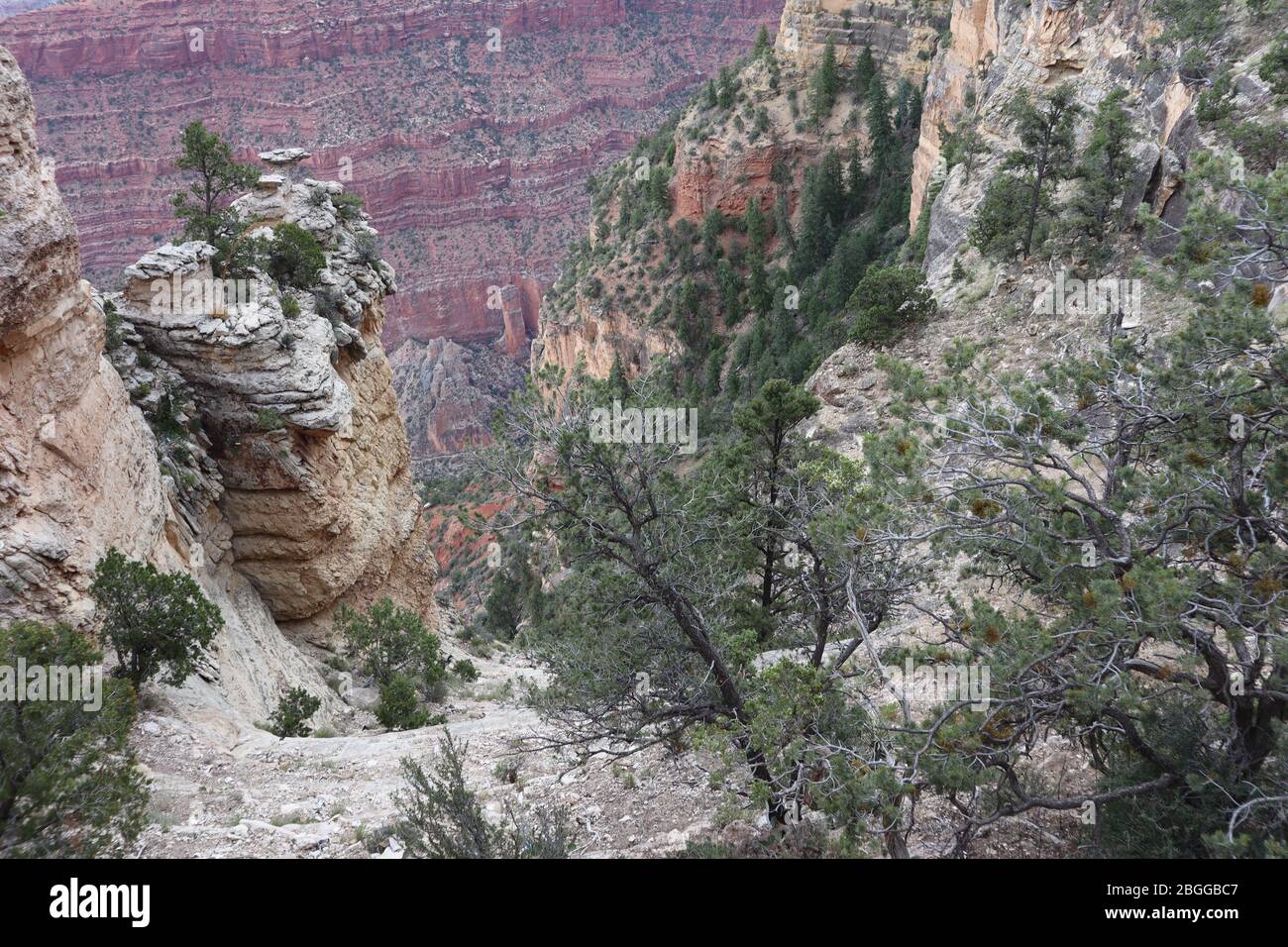 Une photo prise au Grand Canyon Banque D'Images