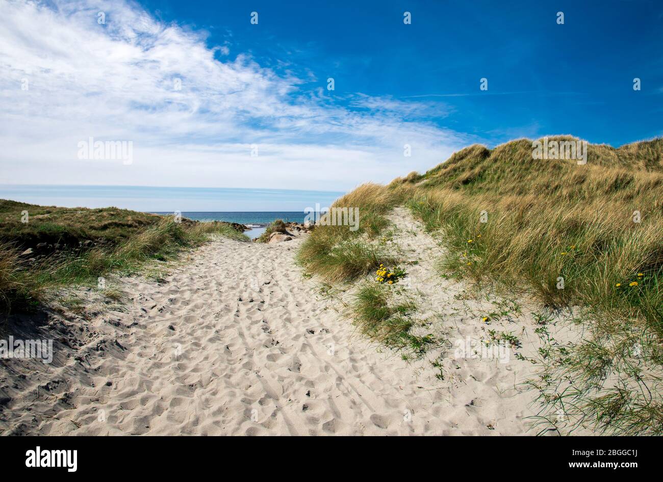 Un sentier longeant les dunes jusqu'à la plage de Refsnesstranda dans une belle journée ensoleillée près de Naerbo, Norvège, mai 2018 Banque D'Images