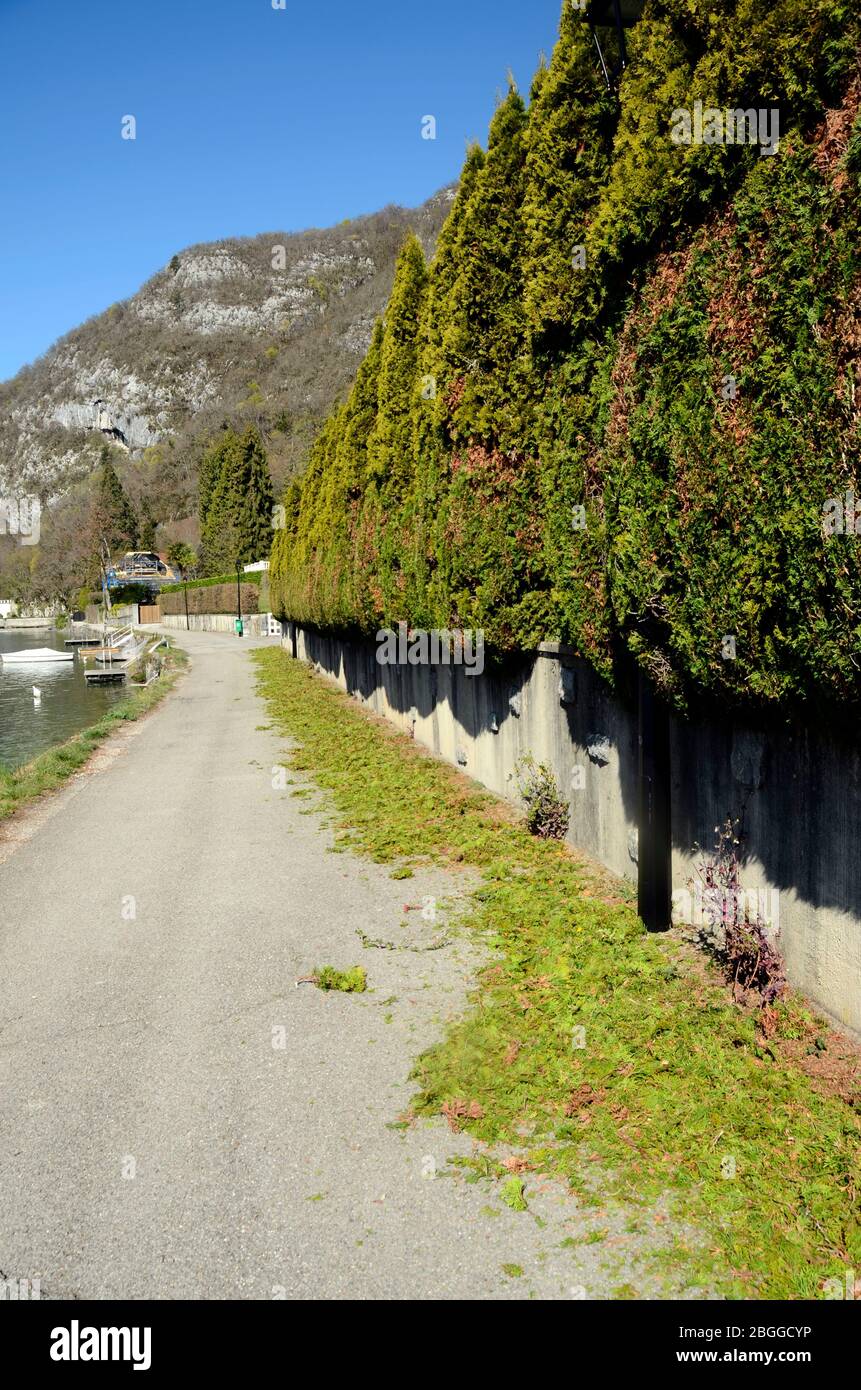 Sentier de randonnée dans le village de Talloires, taille de haies, Annecy, France Banque D'Images