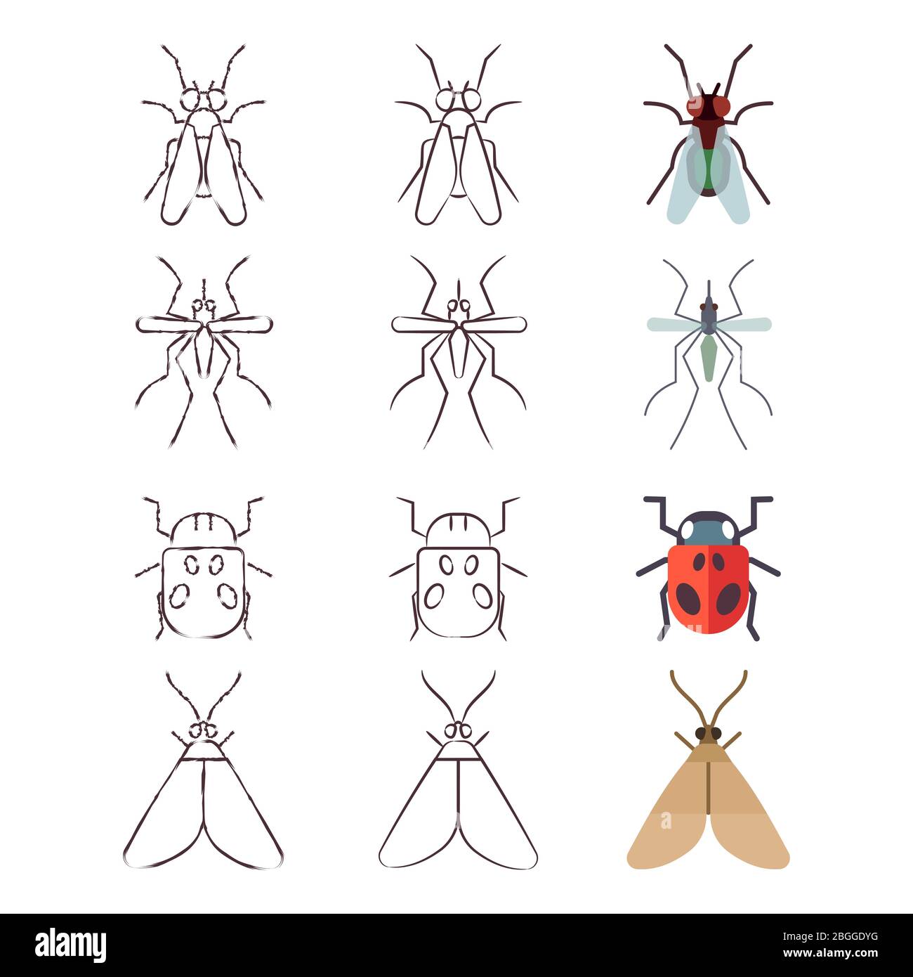 Icônes plates, lignes et skech de l'ensemble d'insectes. Illustration vectorielle Illustration de Vecteur