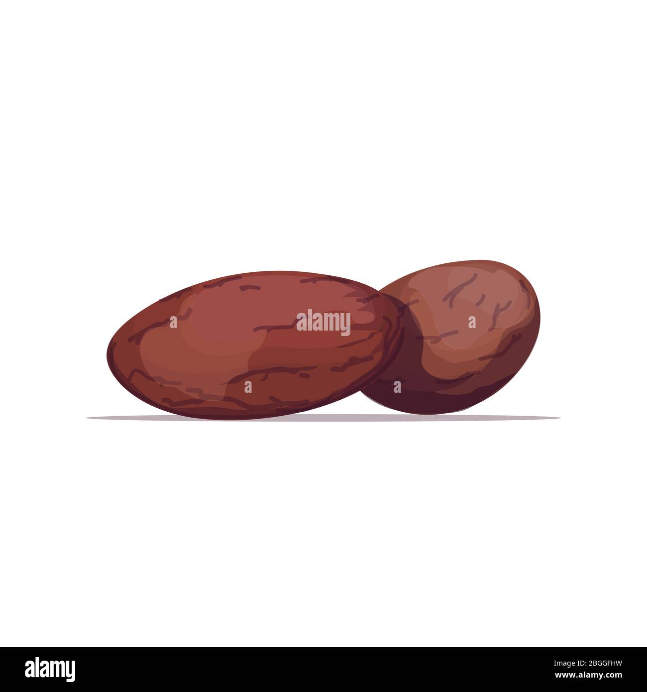fèves de cacao bio saine alimentation végétarienne sur fond blanc illustration vectorielle Illustration de Vecteur